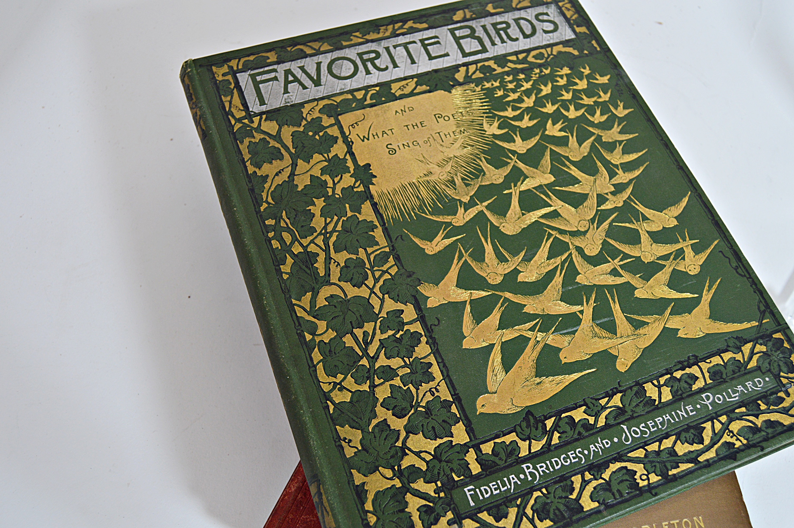 Antique Nature, Farm and City Books with Decorative Covers