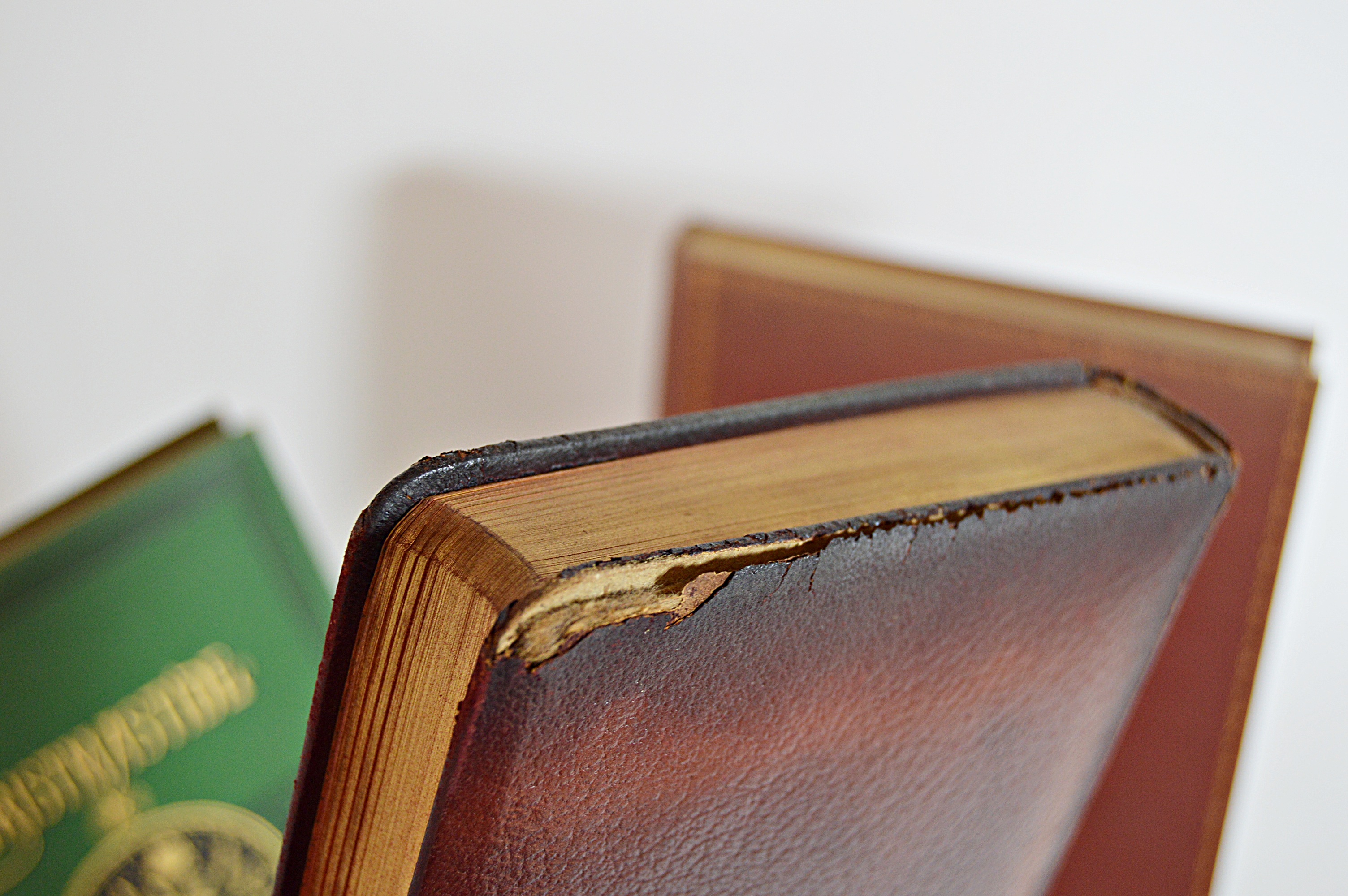 Antique Books with Poetry and Classics