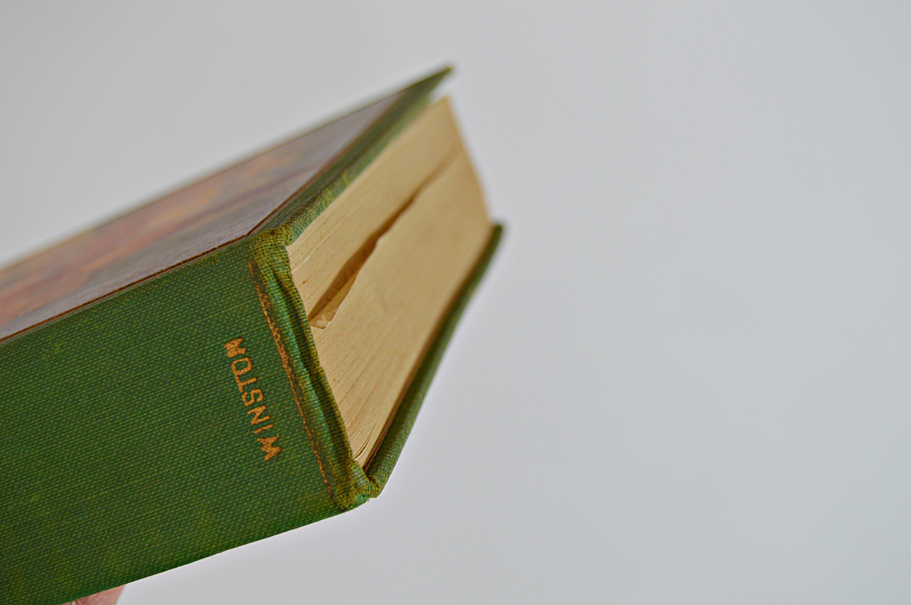 1924 Volume of "Treasure Island" by Robert Louis Stevenson