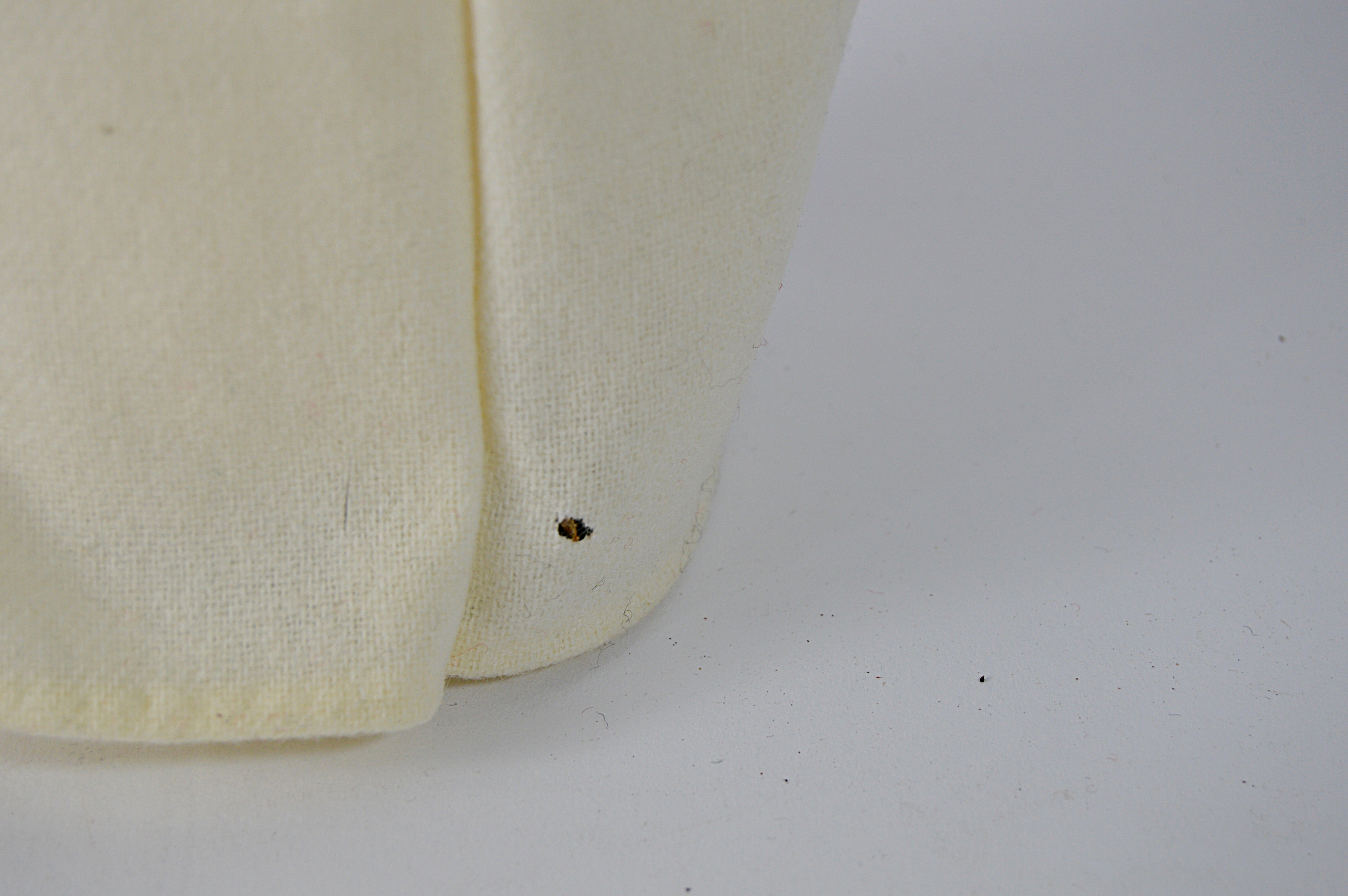 Byer's Choice Holiday Caroler Dolls