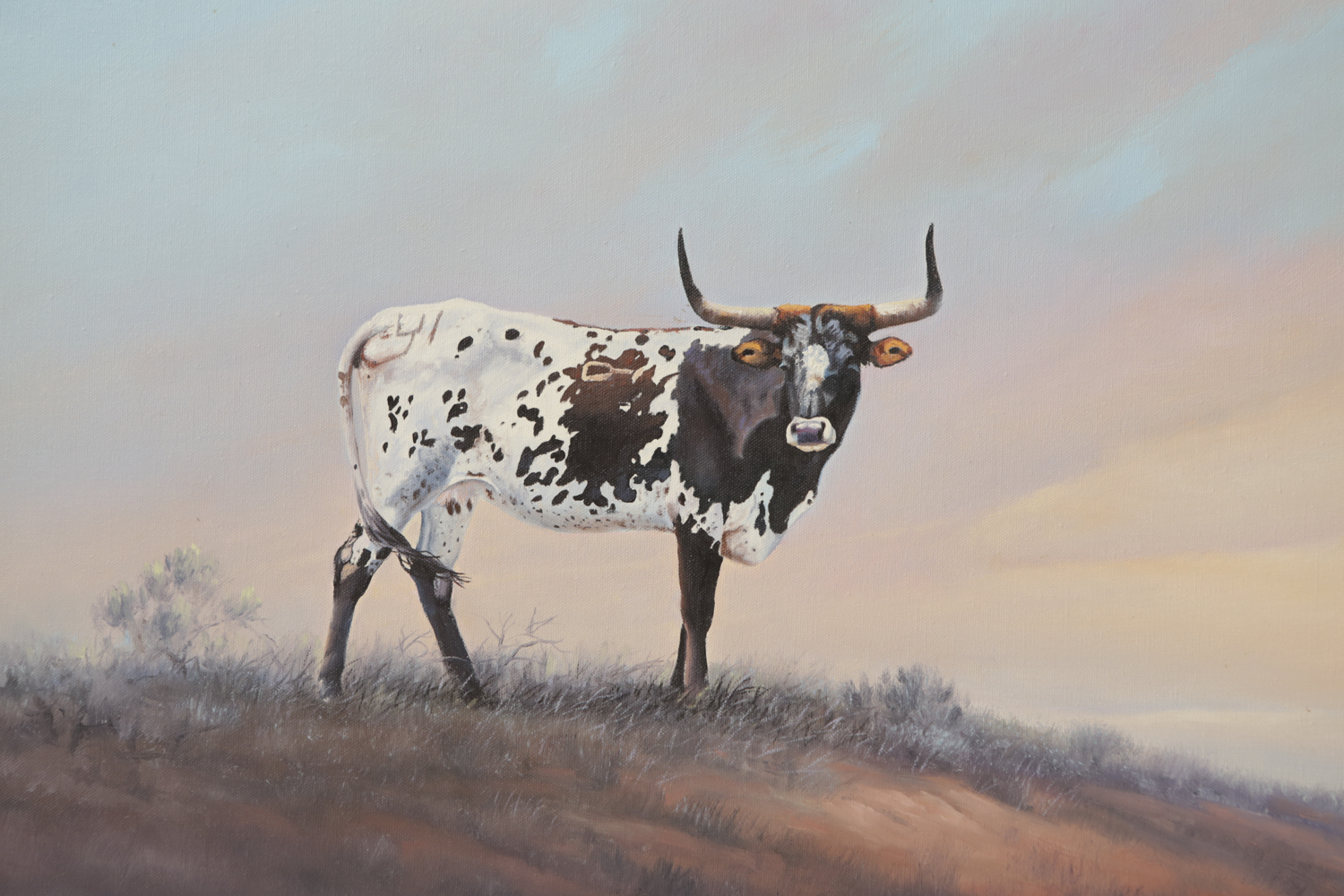 Jack Bryant Oil Painting on Canvas of a Texas Longhorn