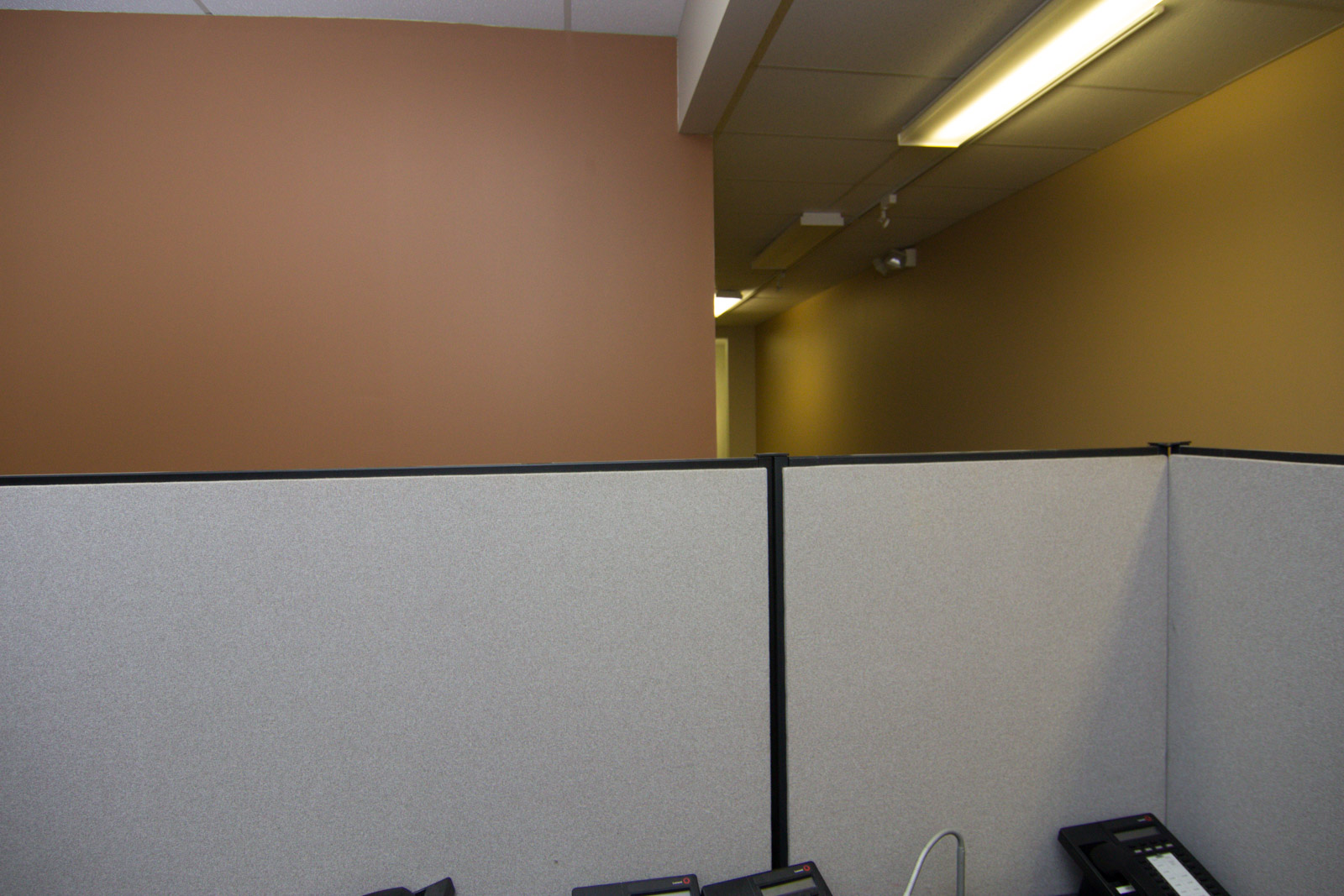Four Cubicle Wall Panels and Shelves