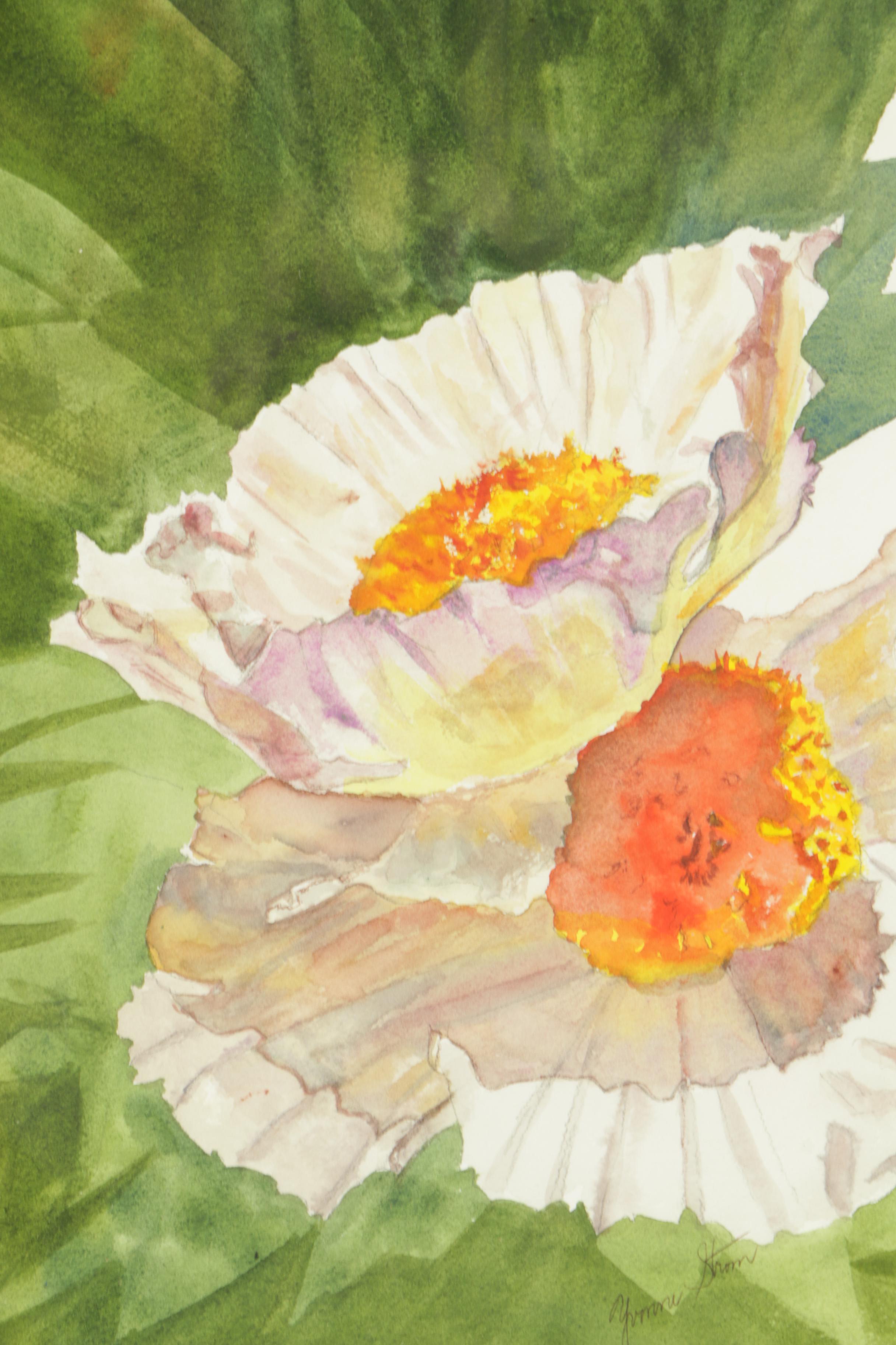 Yvonne Strom Watercolor Painting of White Poppies