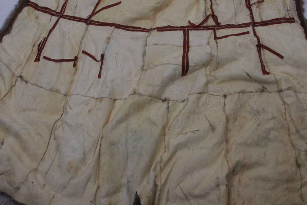 Vintage Australian Possum Hide with Collar