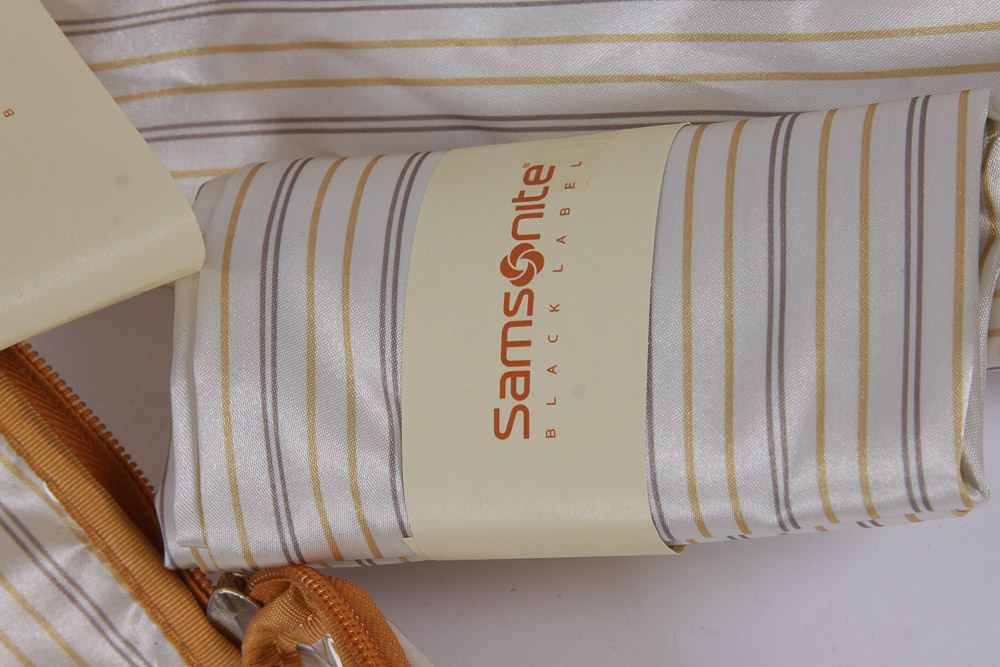 Samsonite "Black Label" Travel Bag