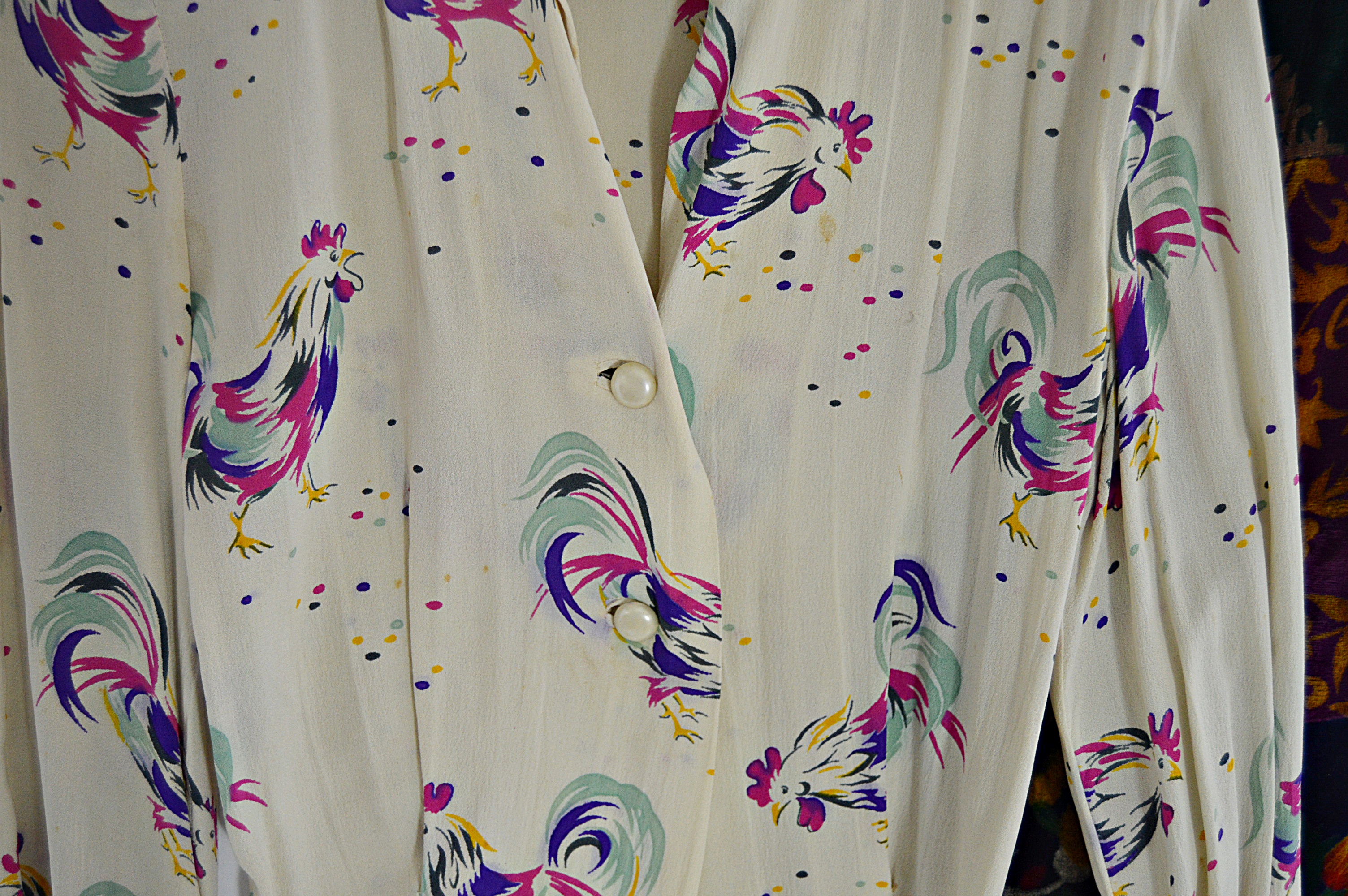 Vintage Dorian Rooster Blouse and Mod Velvet Maxi Skirt