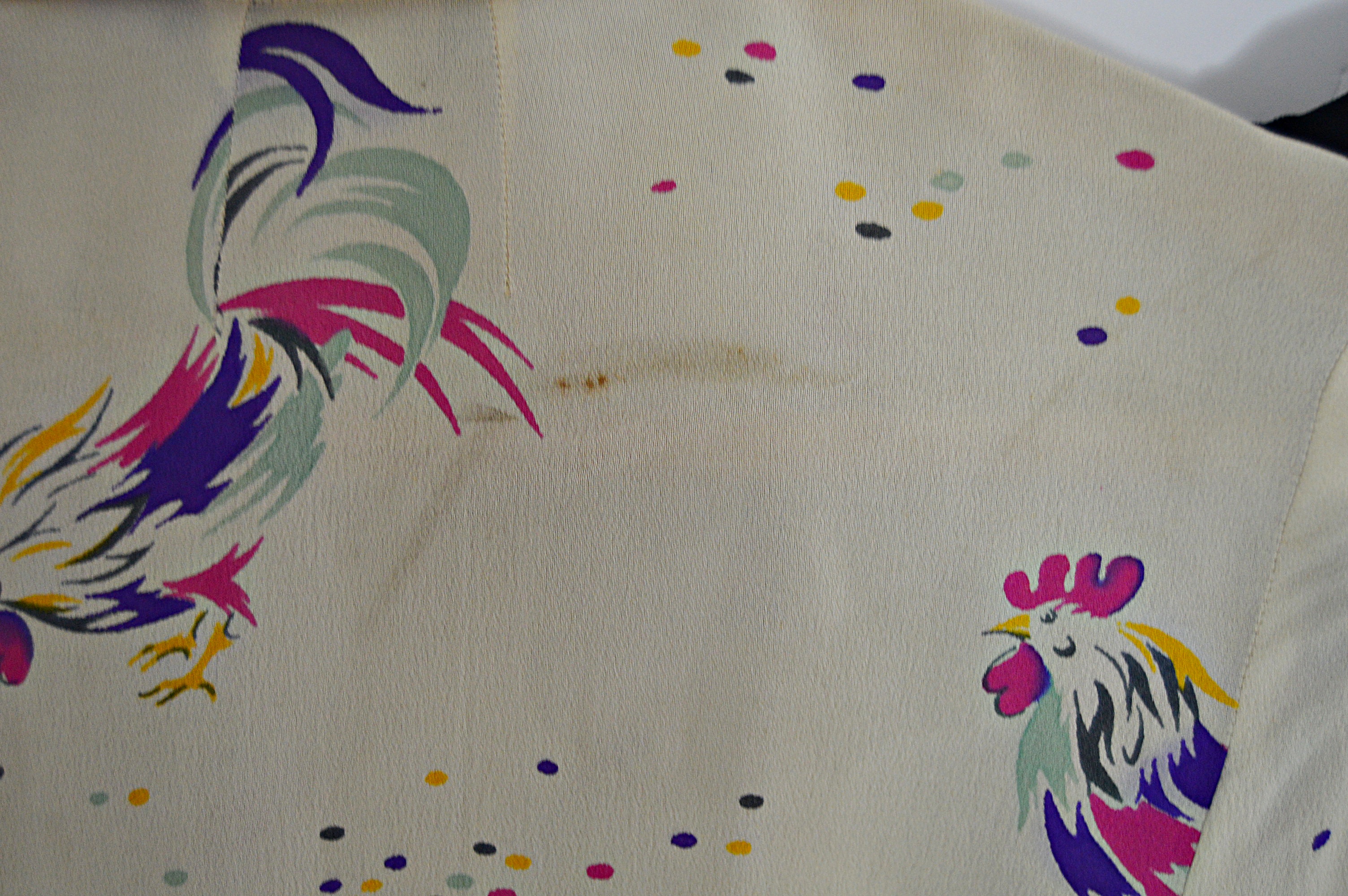 Vintage Dorian Rooster Blouse and Mod Velvet Maxi Skirt