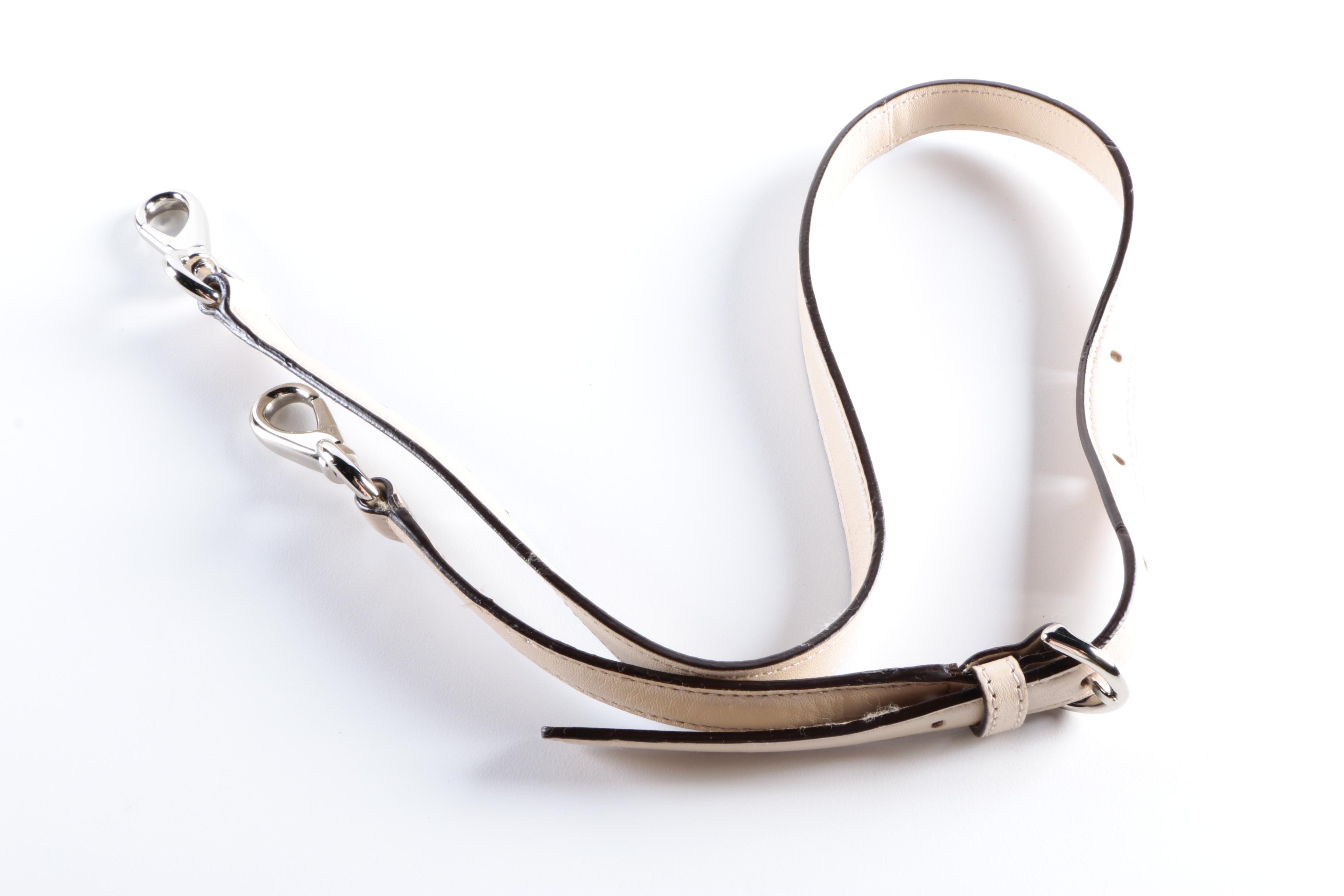 Coach Kristin Champagne Leather Hobo