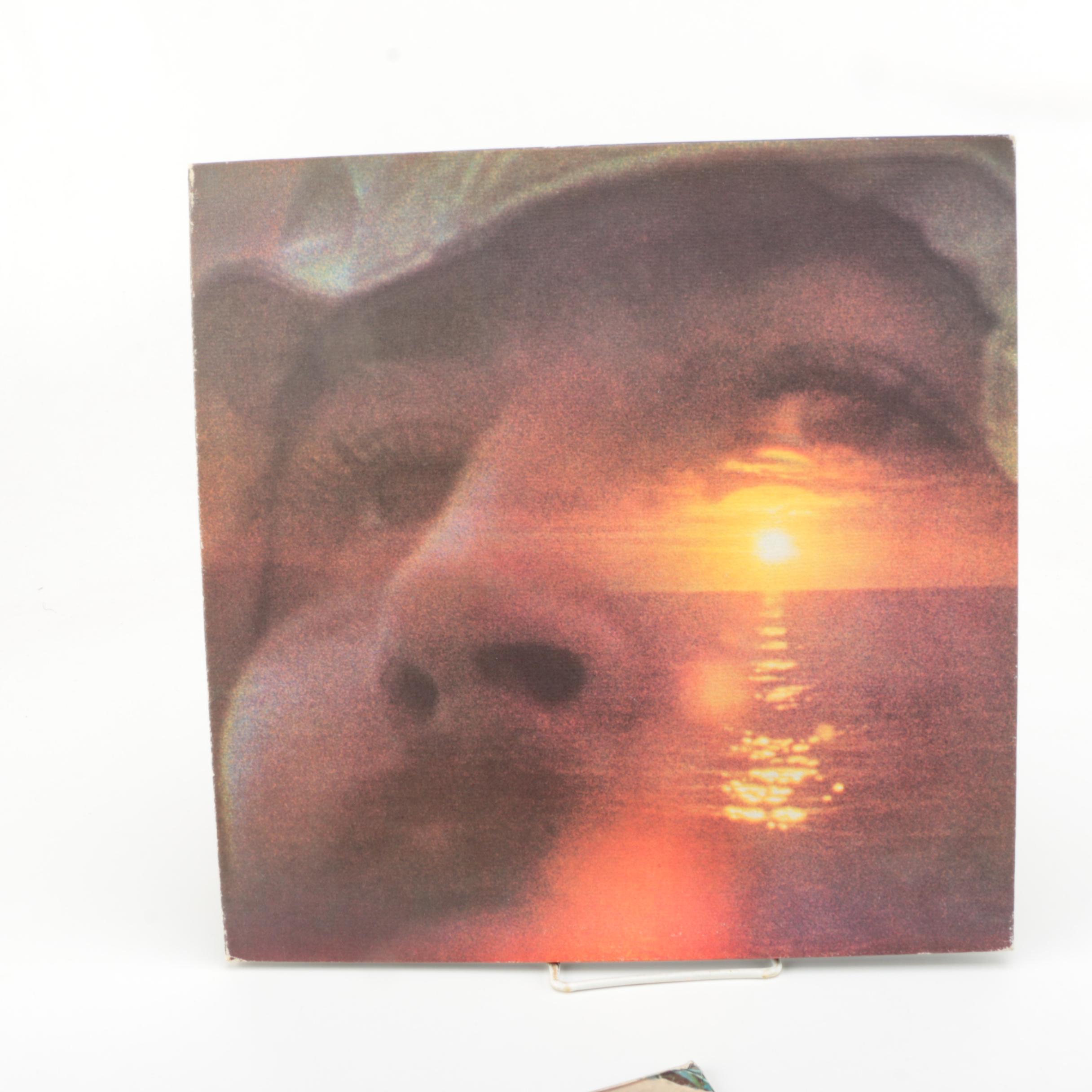 The Byrds and related LPs Including "Notorious Byrd Brothers" Promo