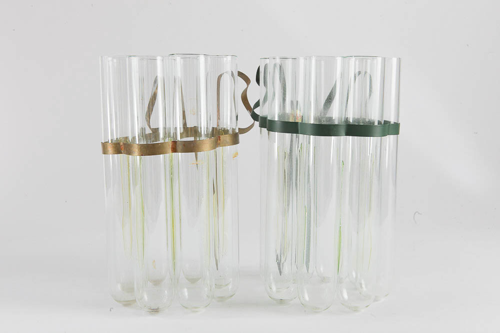 Glass Vases and Flower Frog