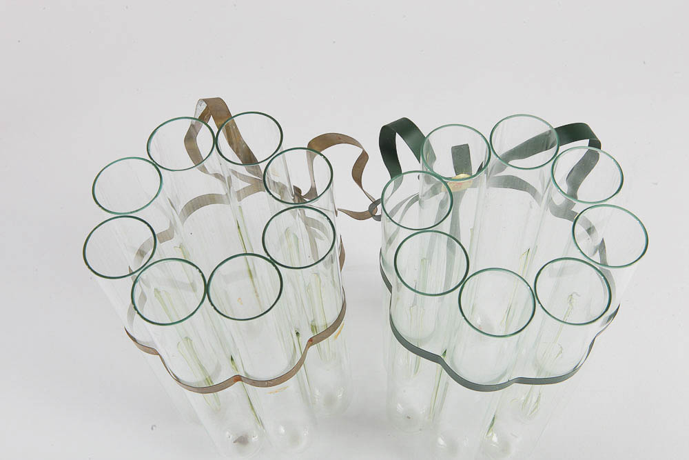 Glass Vases and Flower Frog