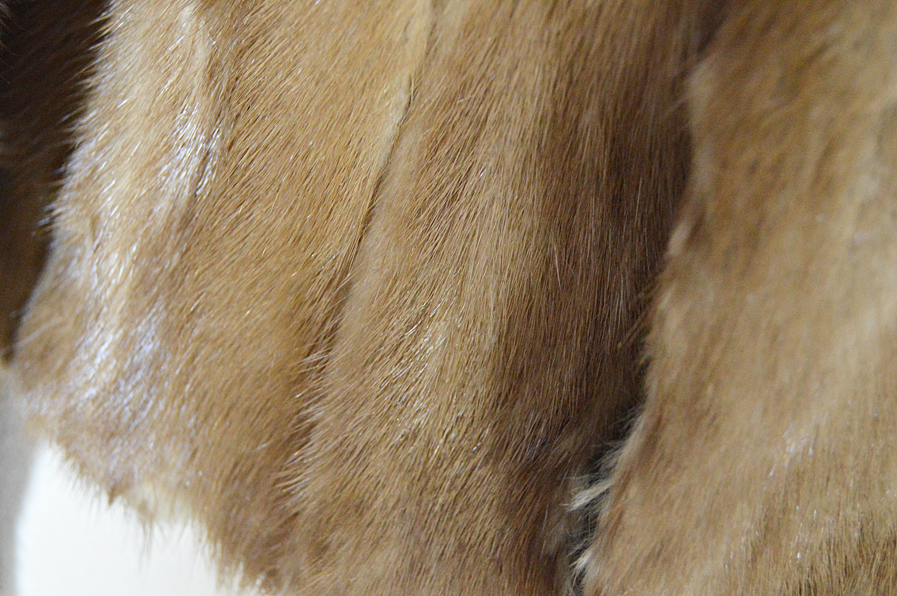 Vintage Brown Mink Jacket from The Gidding Co.