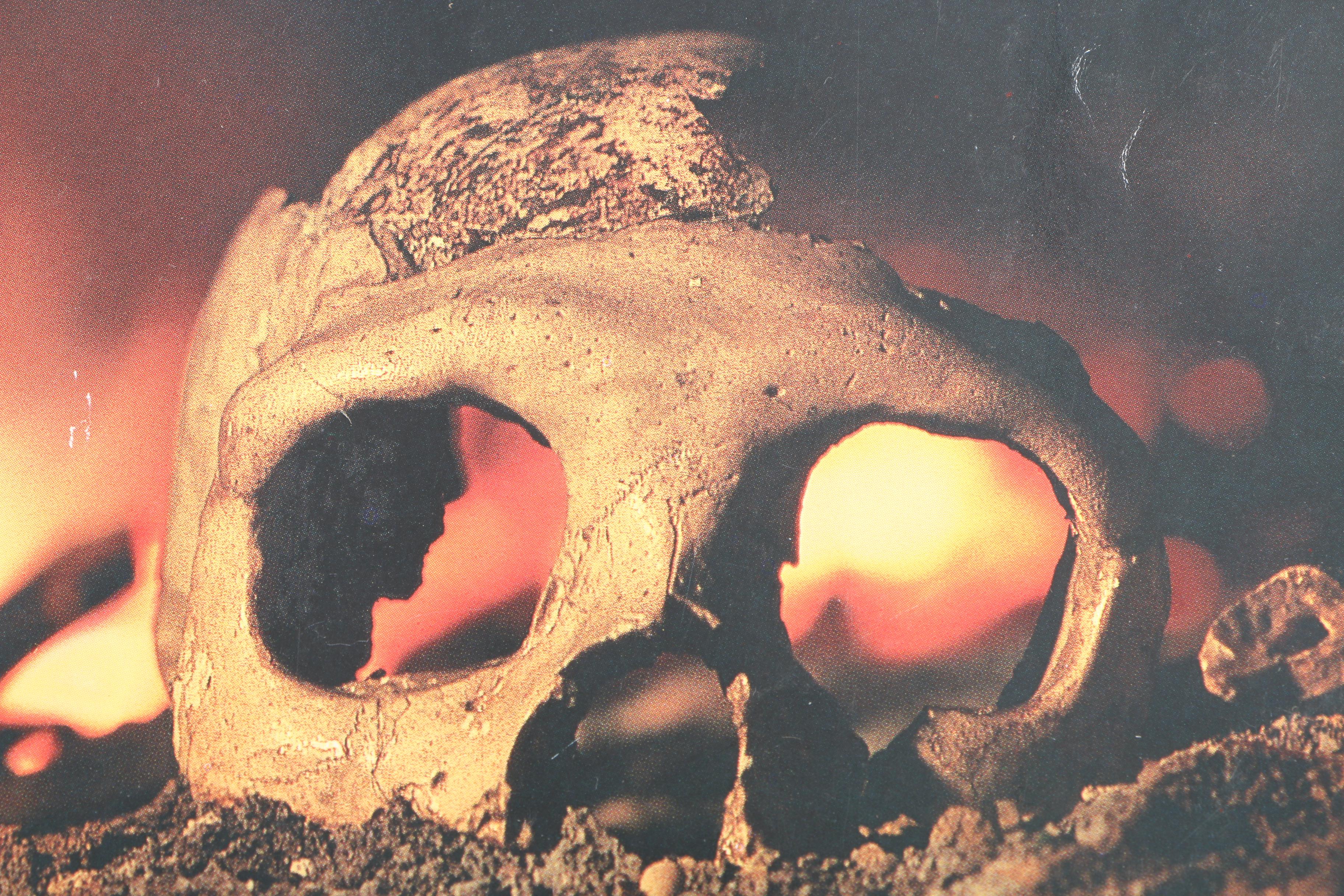 1960s–1990s "National Geographic" Magazines in Slipcases