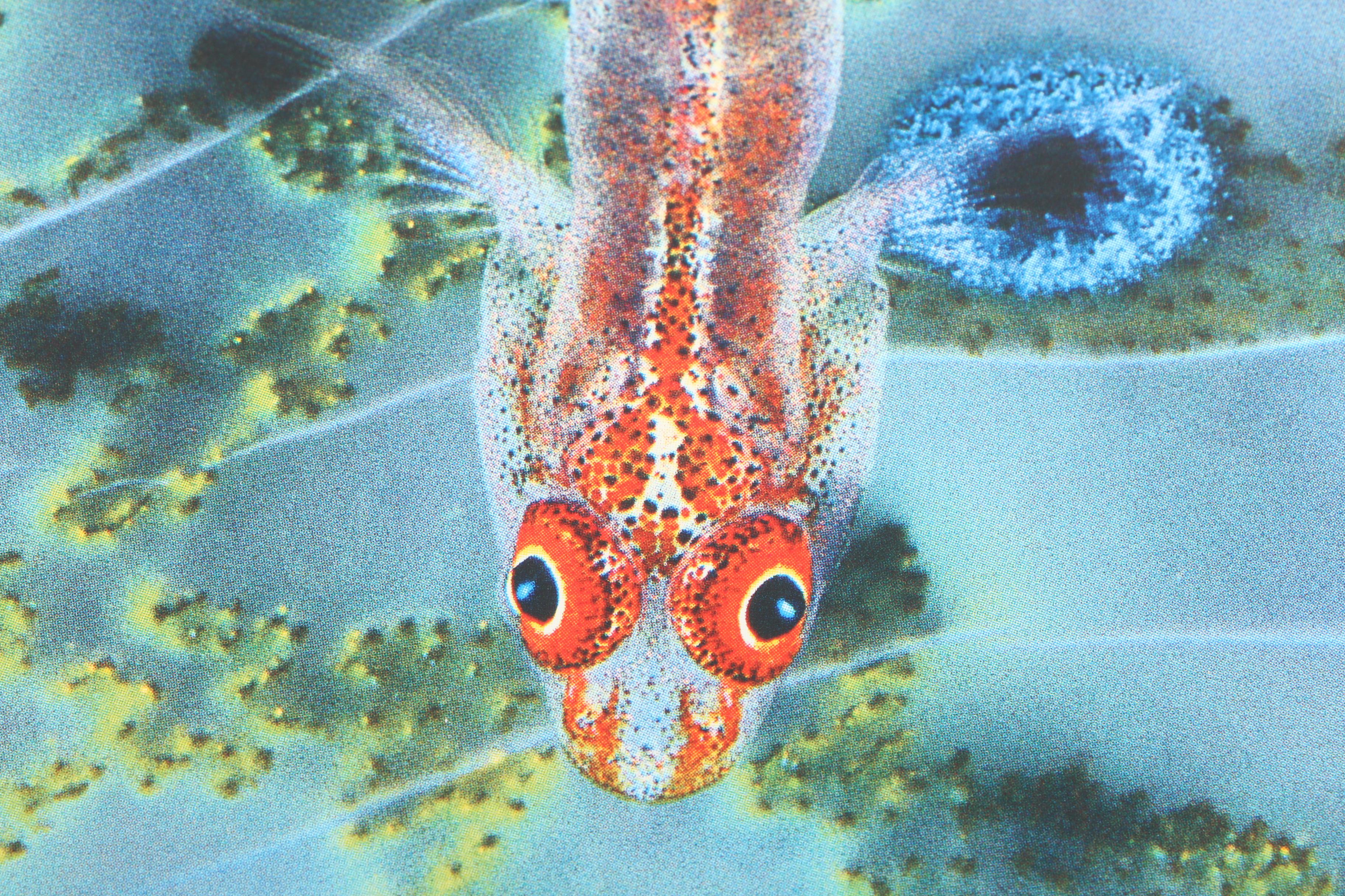 1960s–1990s "National Geographic" Magazines in Slipcases