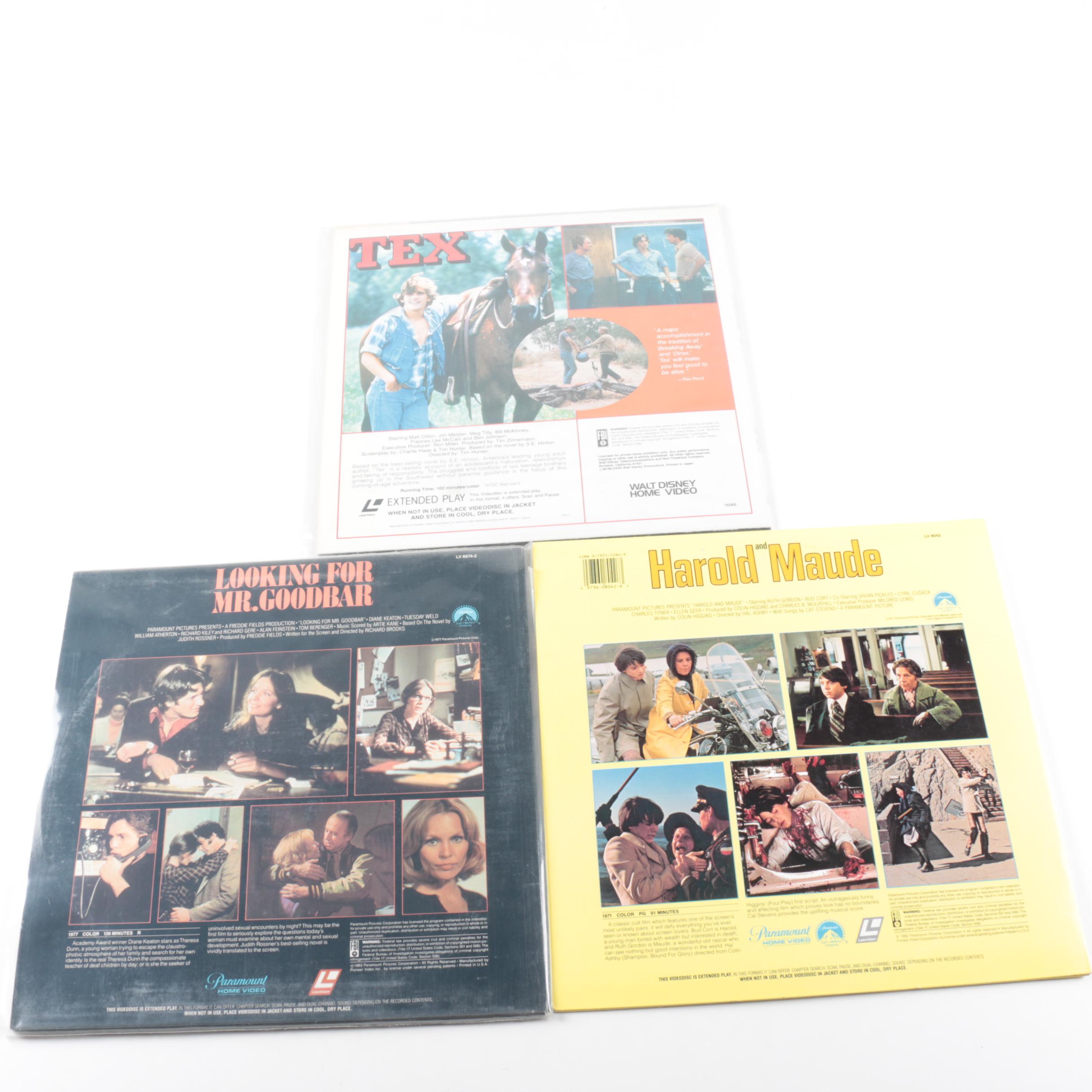 Laserdiscs Including "The Outsiders", "Blue Velvet", and "Psycho"