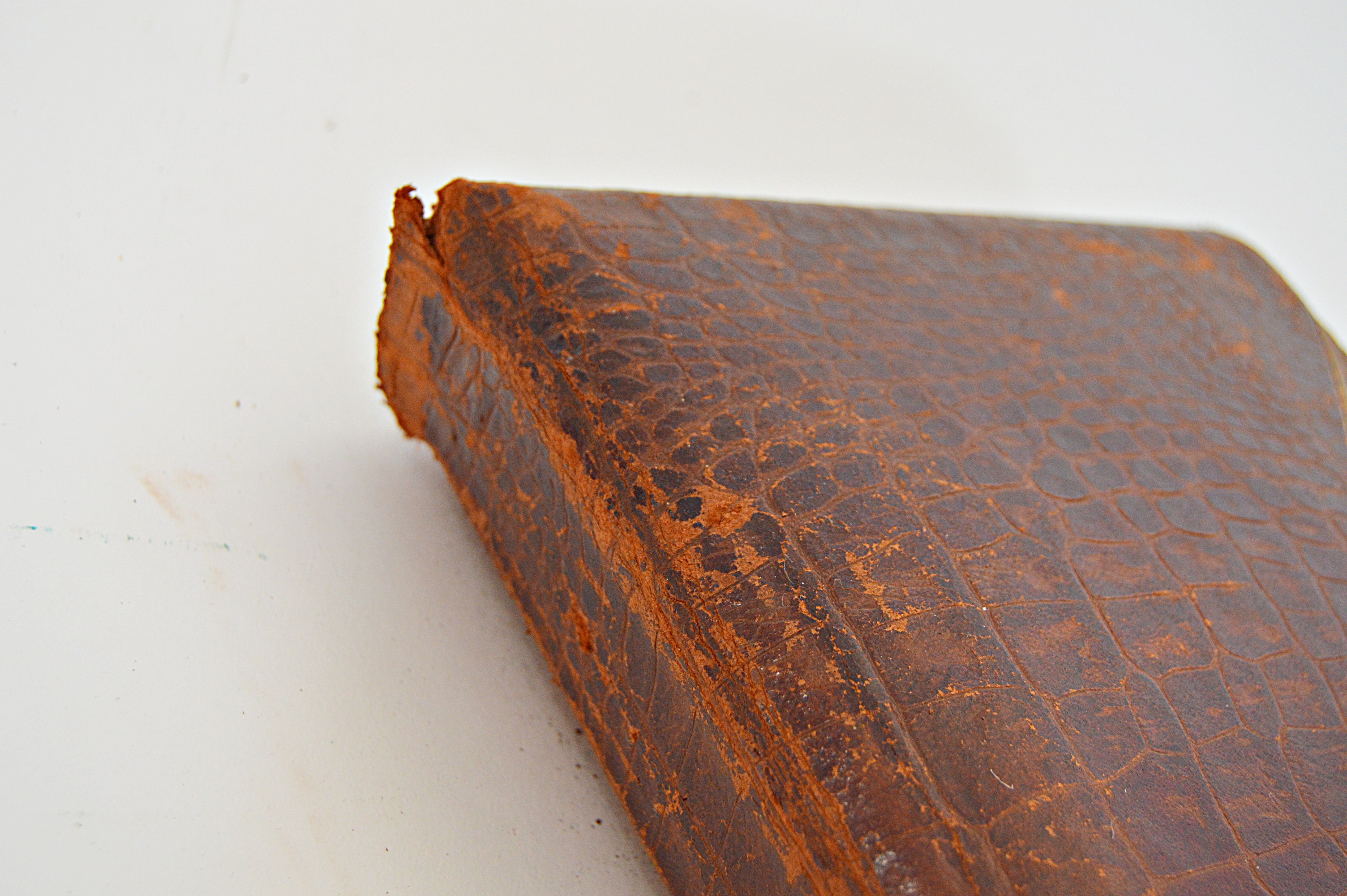 Victorian Era Photo Album with Leather/Velvet Cover