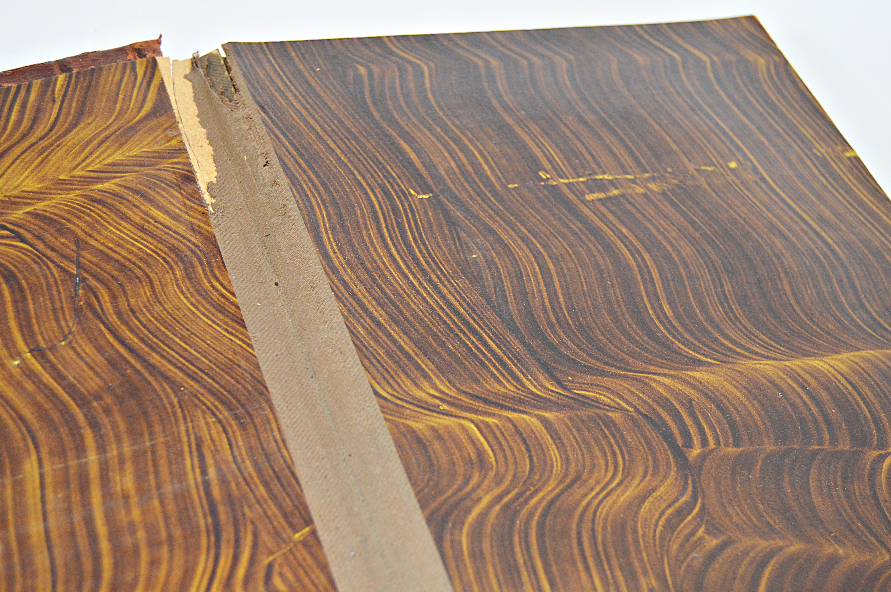 Victorian Era Photo Album with Leather/Velvet Cover