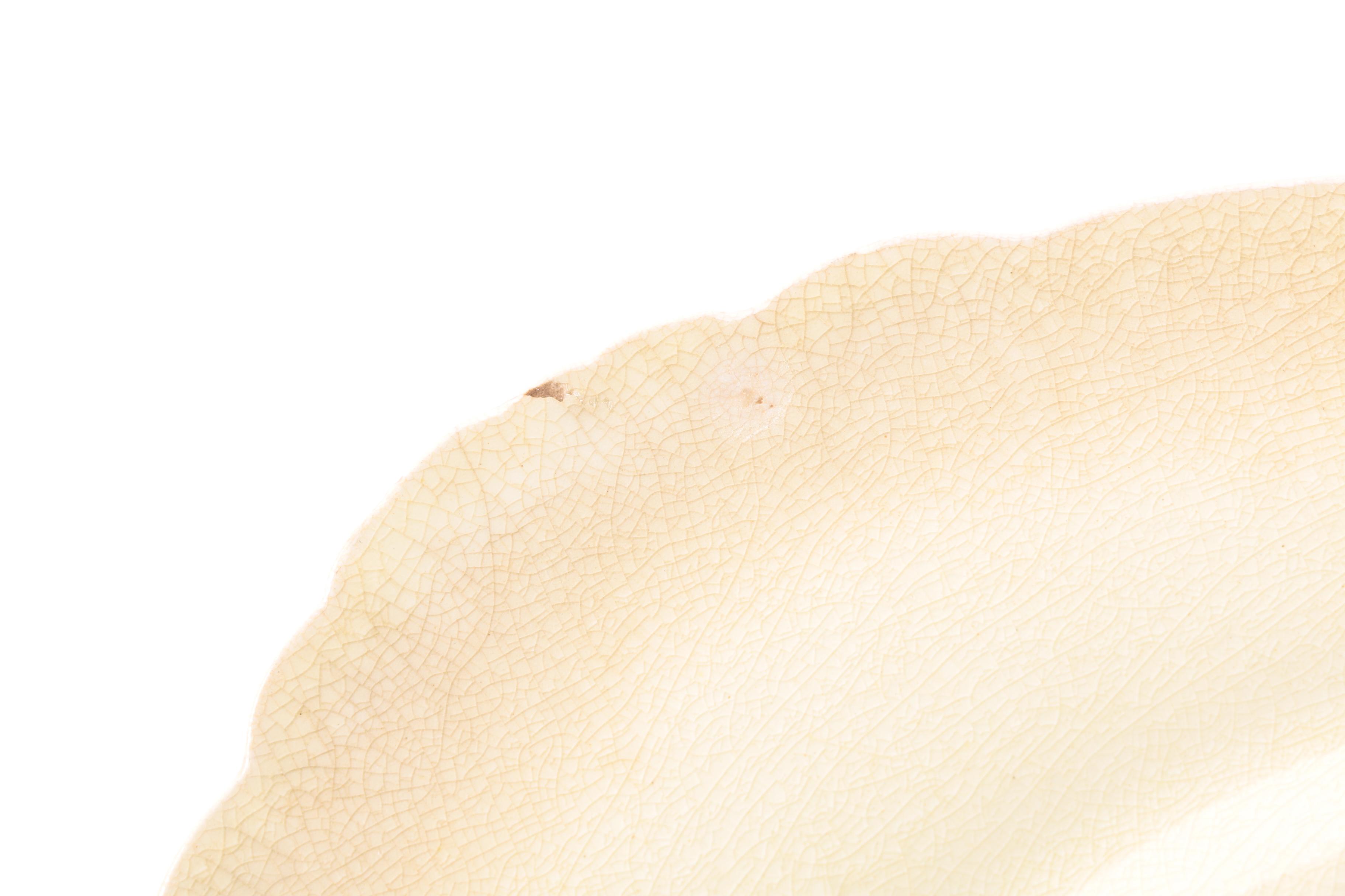 Vintage Royal Cauldon "Beverly" Plates