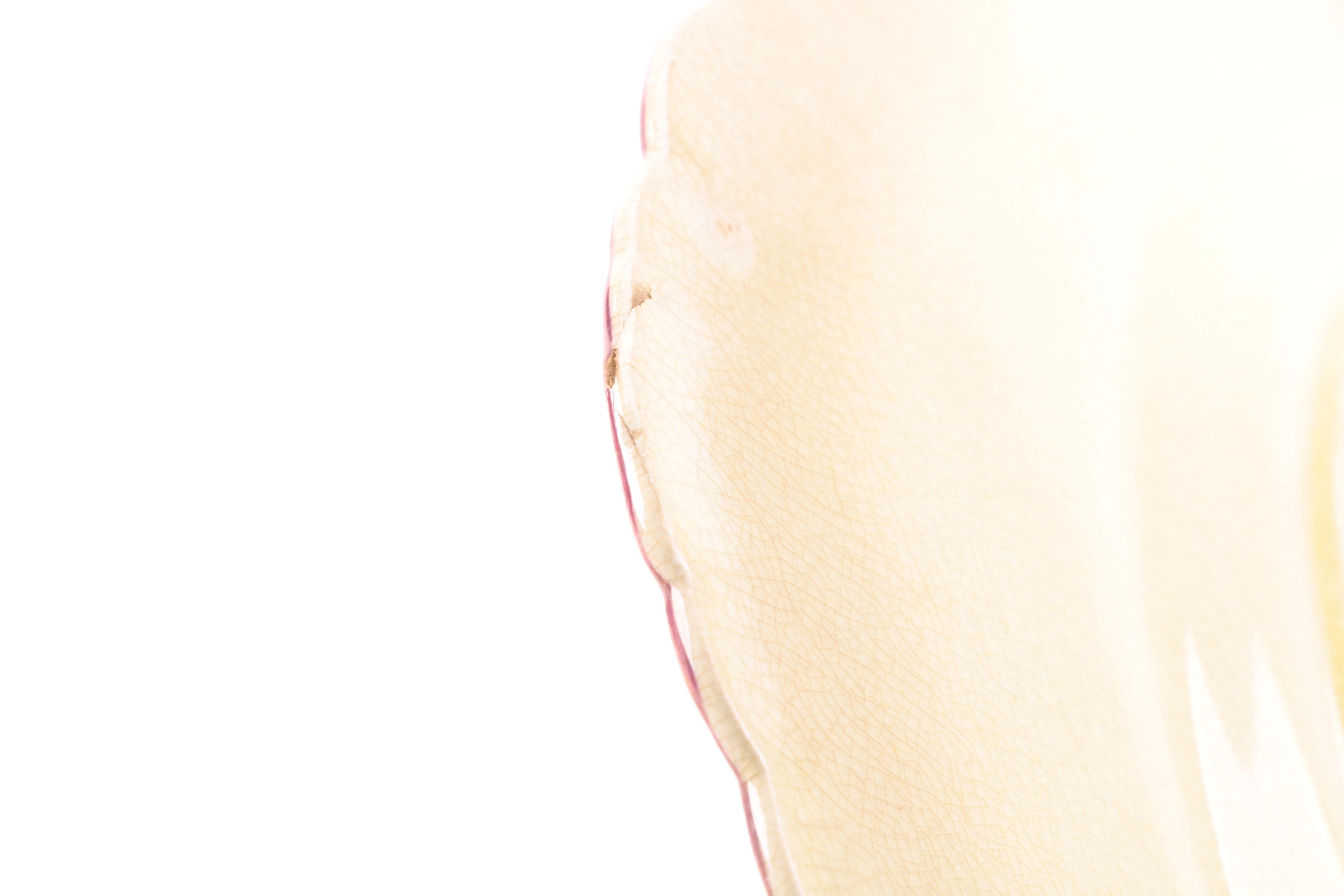 Vintage Royal Cauldon "Beverly" Plates