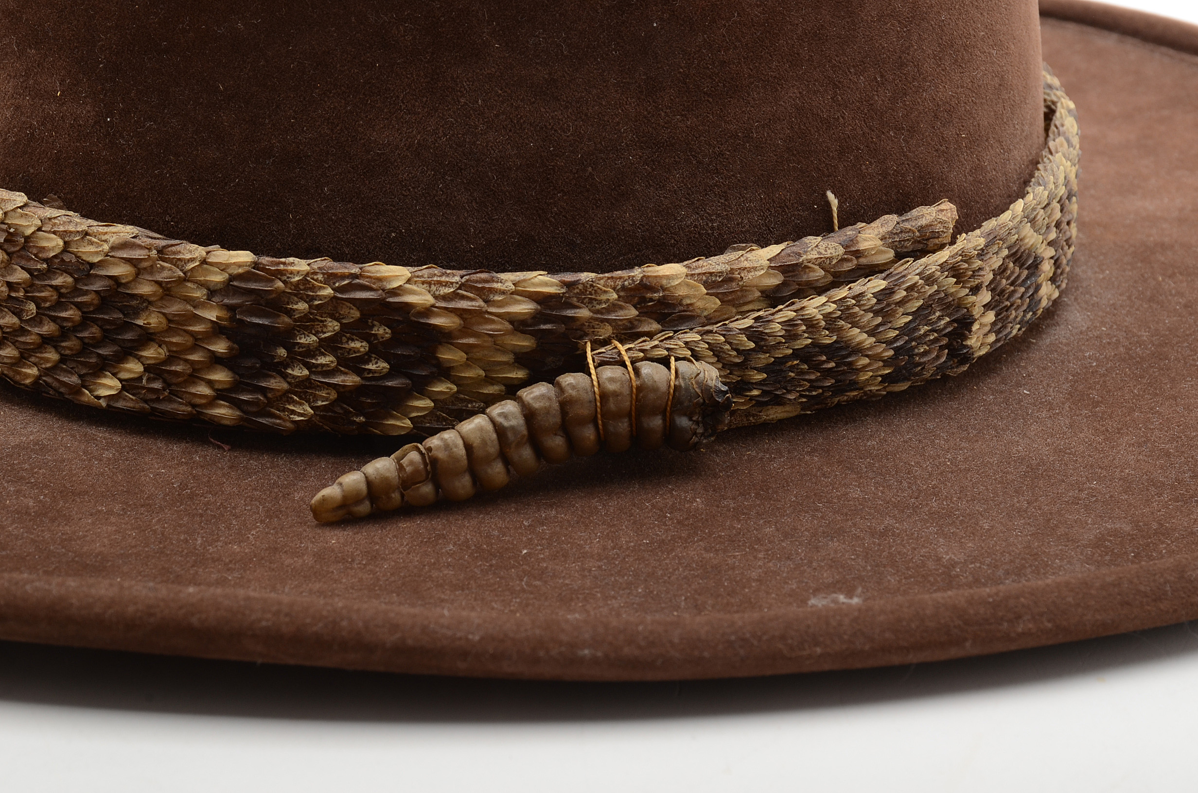 Bailey Suede Cowboy Hat with Rattlesnake Band