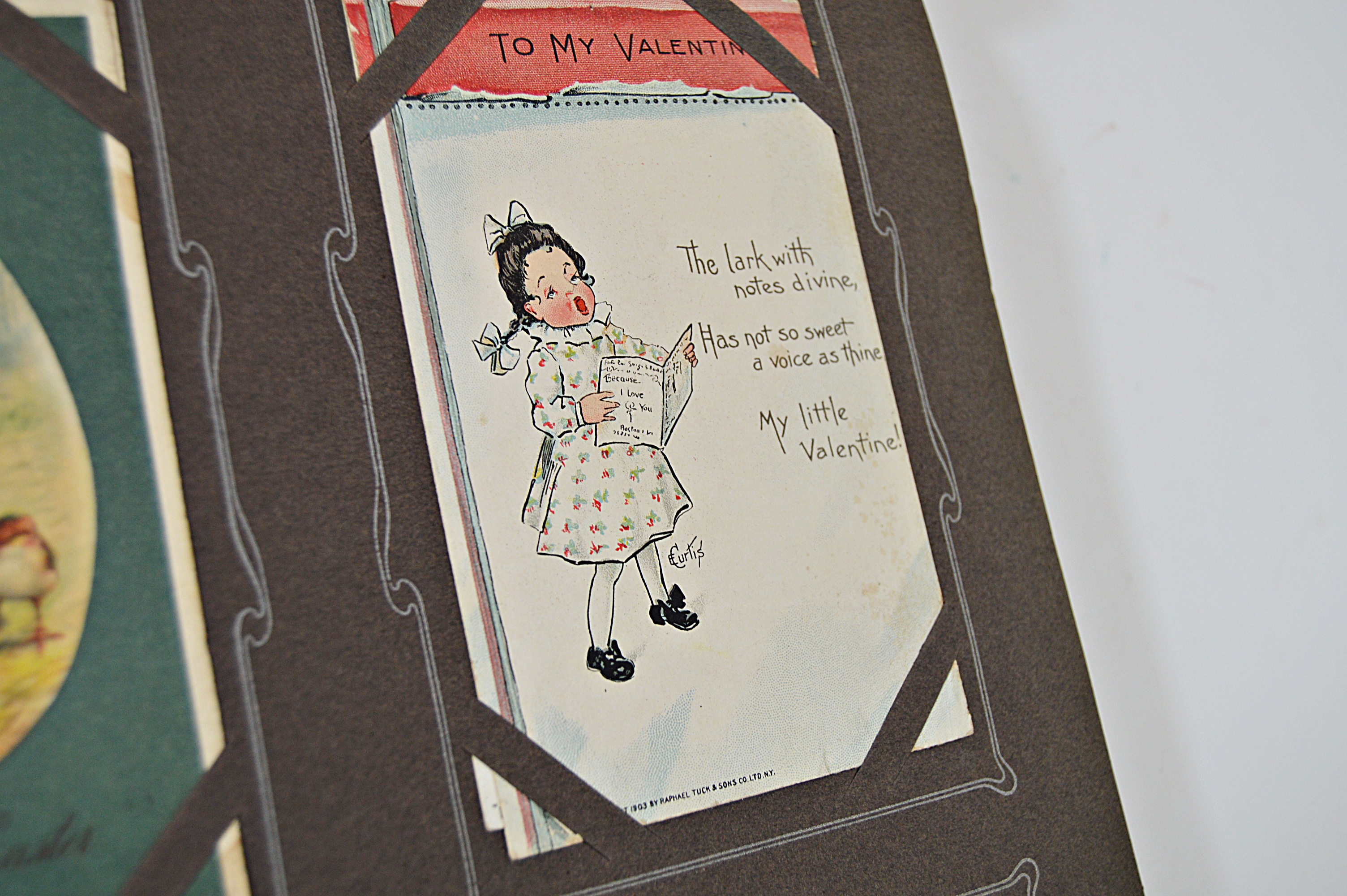 Early 20th Century Postal Souvenir Album