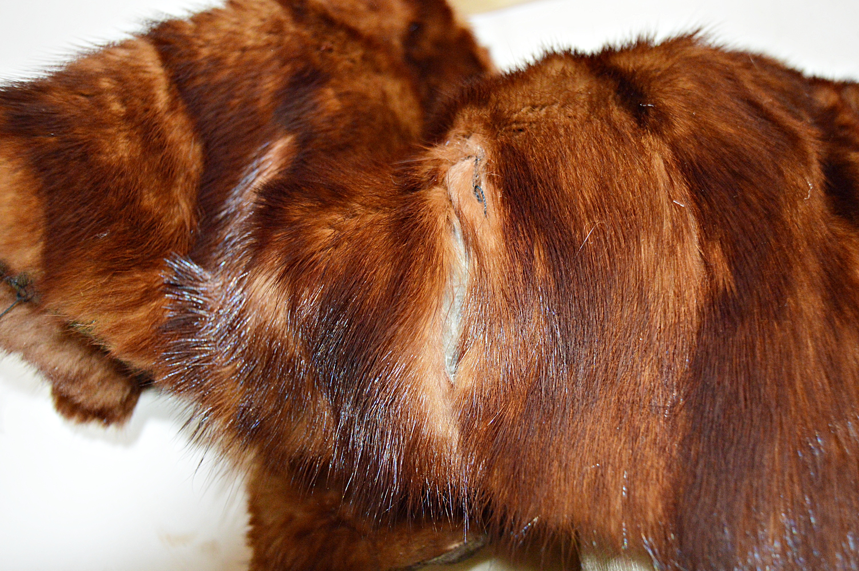 1940s Mink Collar and Shoulder Caps