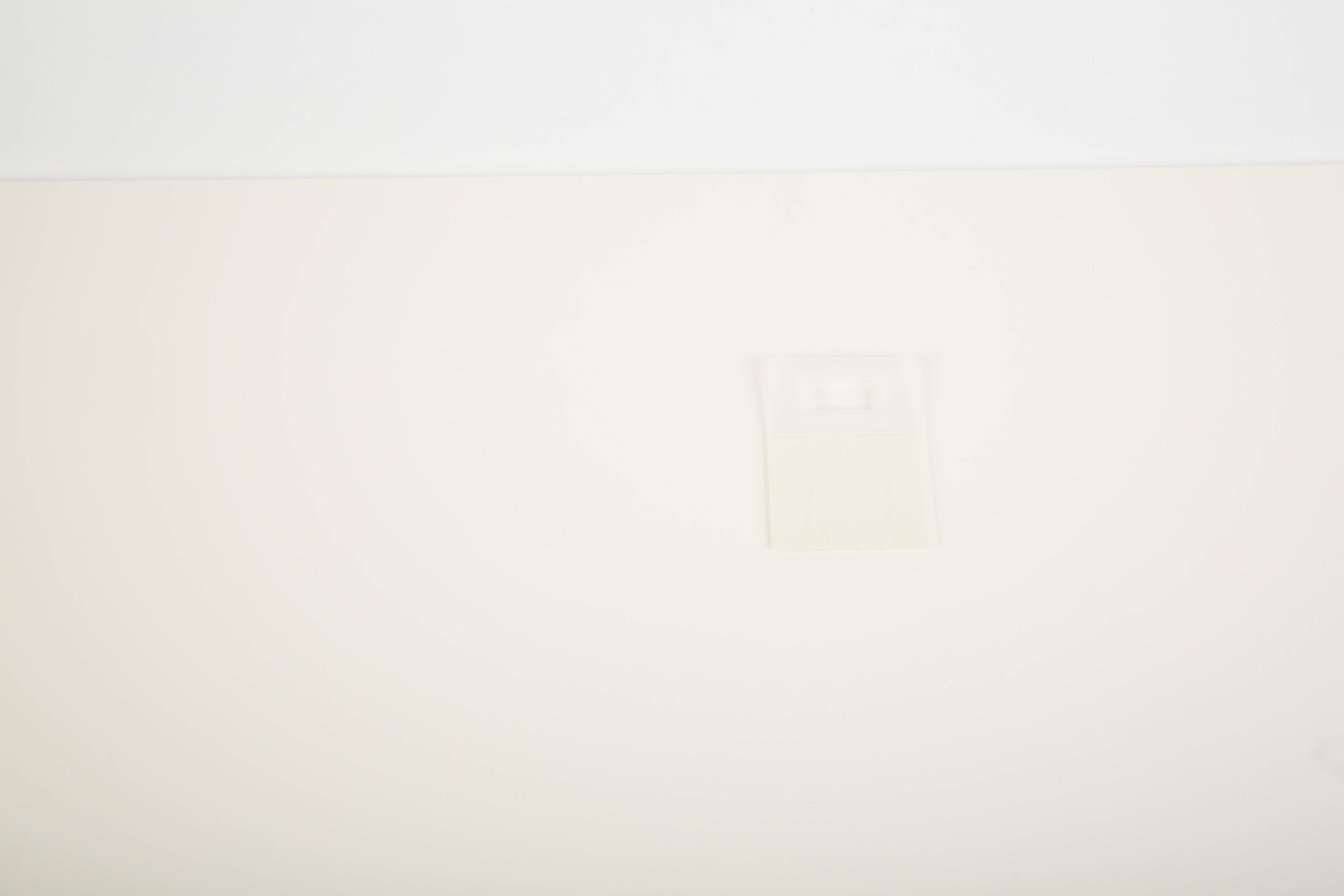 Autographed Rowing Posters