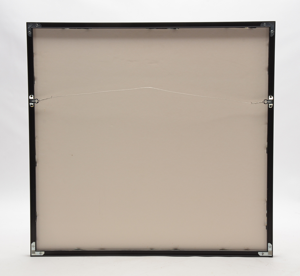 "Cape Light" Meyerowitz Print