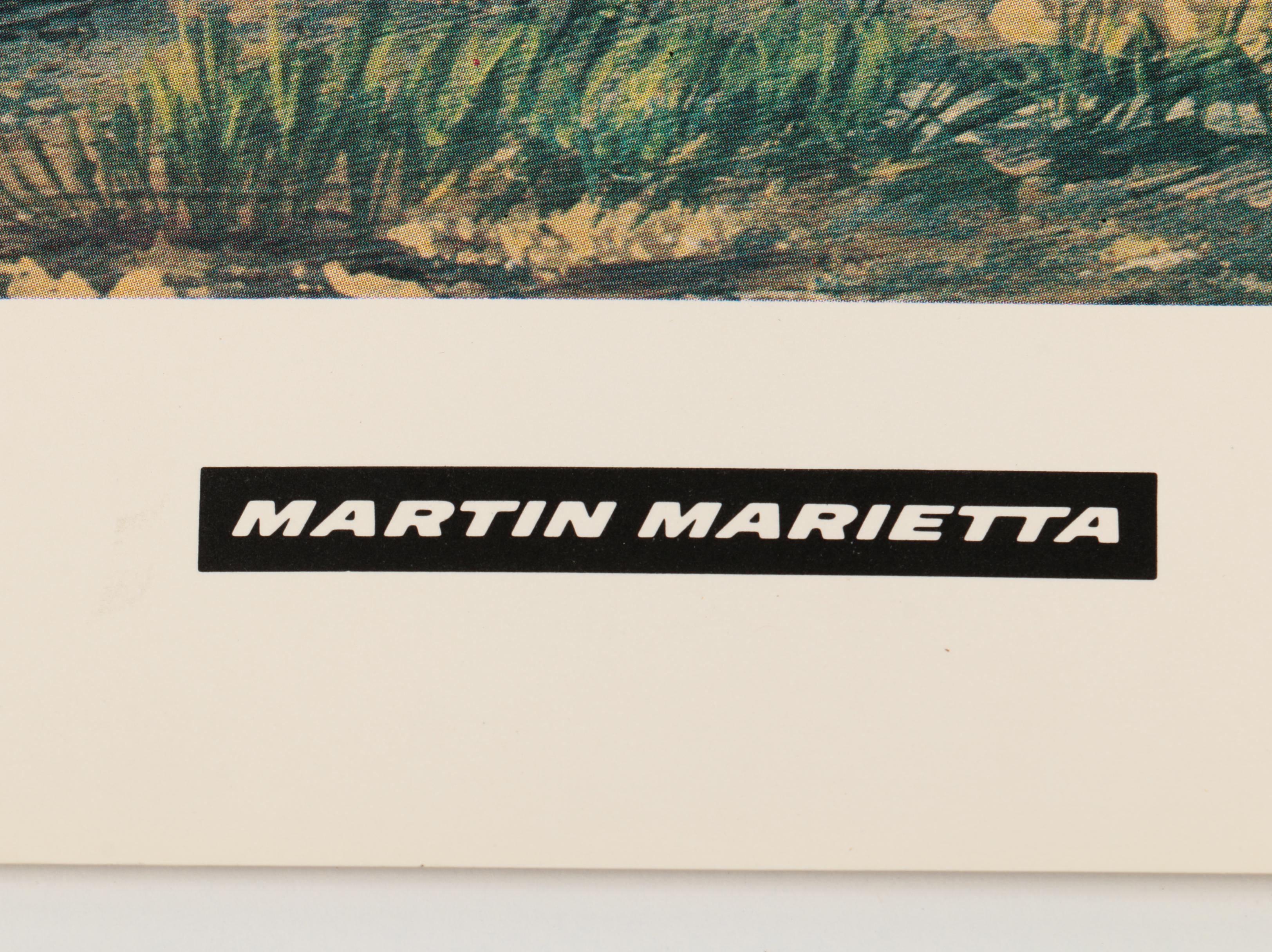 Offset Lithographs after J. J. Audubon and Robert Havell of Birds