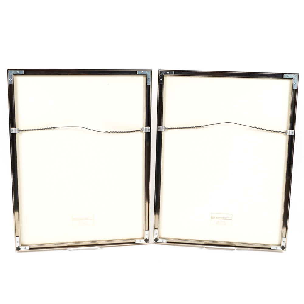 Color Photographs of Skiing Scenes