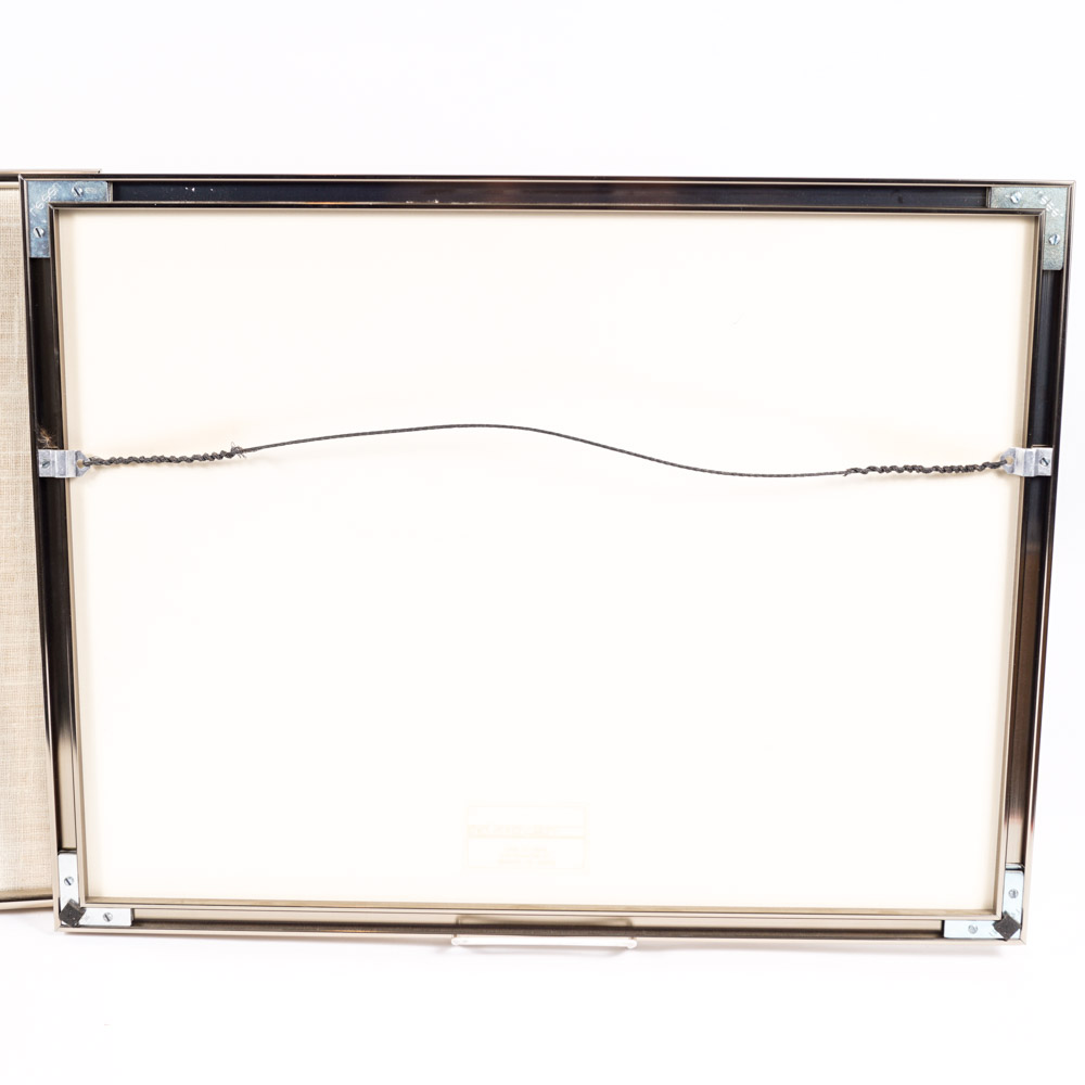 Color Photographs of Denali Mountains