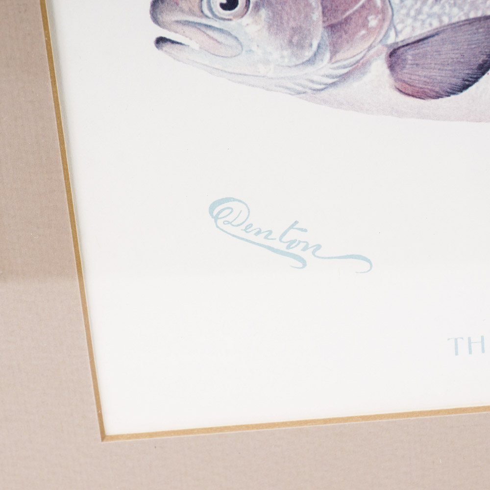 Sherman Denton Limited Edition Offset Lithographs of Trout