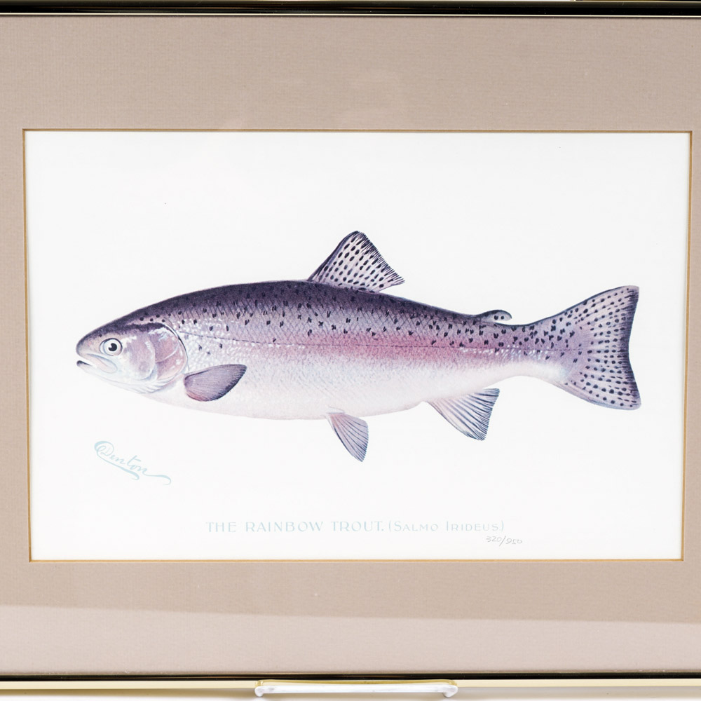 Sherman Denton Limited Edition Offset Lithographs of Trout