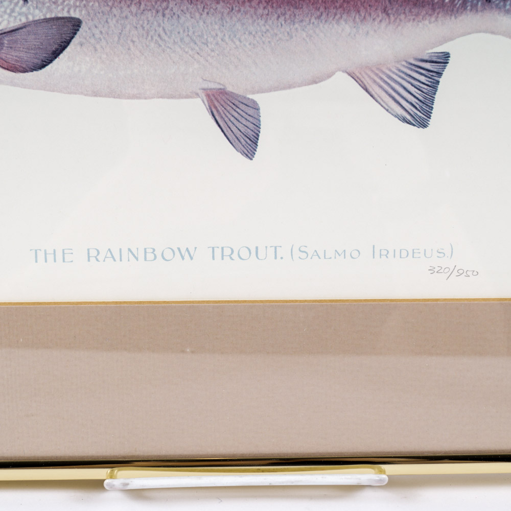 Sherman Denton Limited Edition Offset Lithographs of Trout