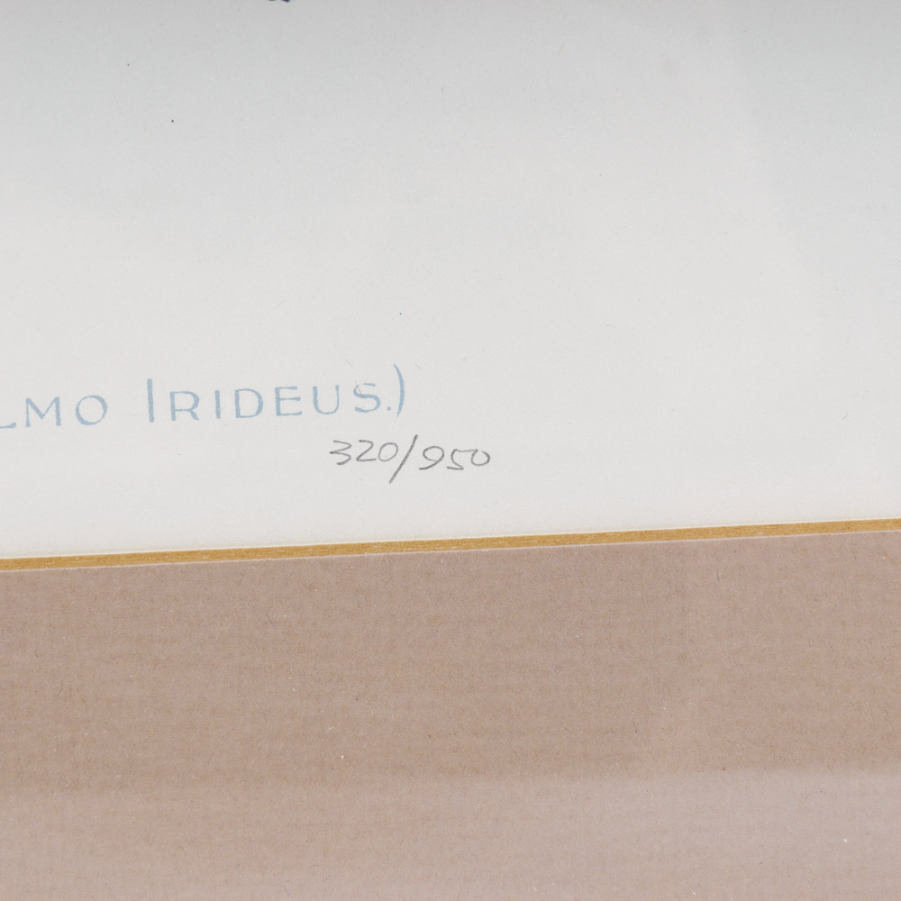 Sherman Denton Limited Edition Offset Lithographs of Trout