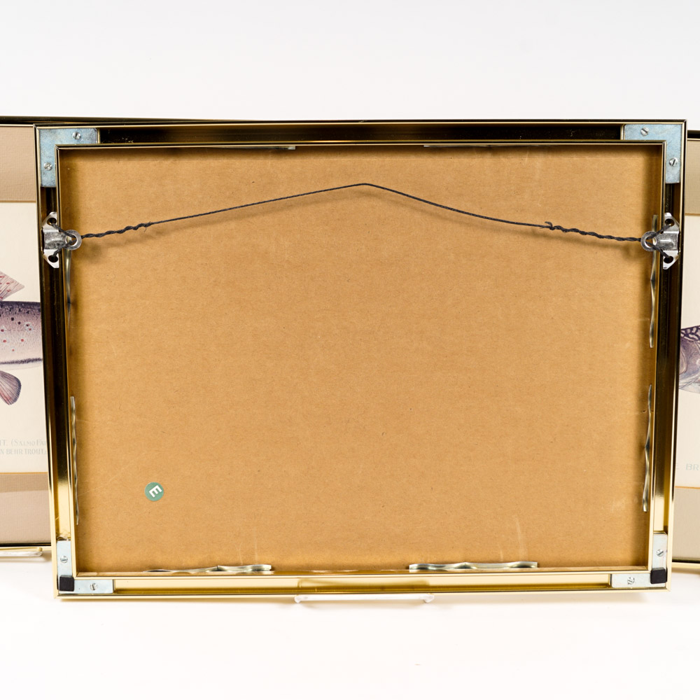 Sherman Denton Limited Edition Offset Lithographs of Trout