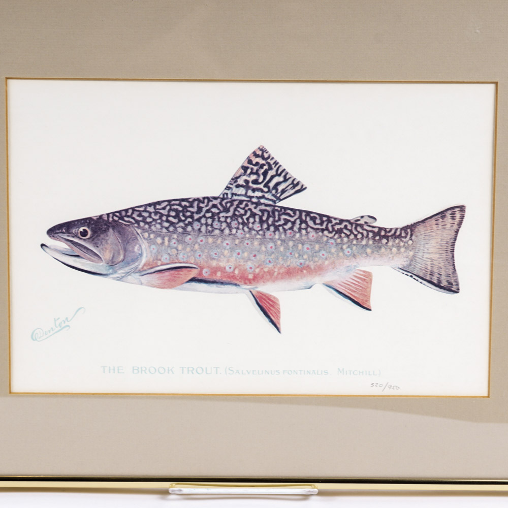Sherman Denton Limited Edition Offset Lithographs of Trout