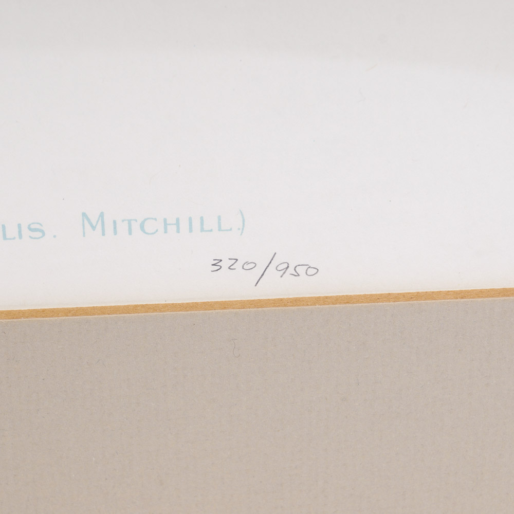 Sherman Denton Limited Edition Offset Lithographs of Trout