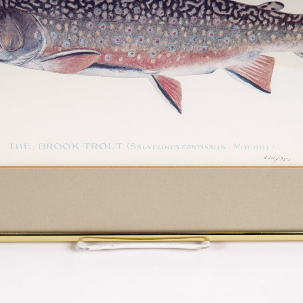 Sherman Denton Limited Edition Offset Lithographs of Trout