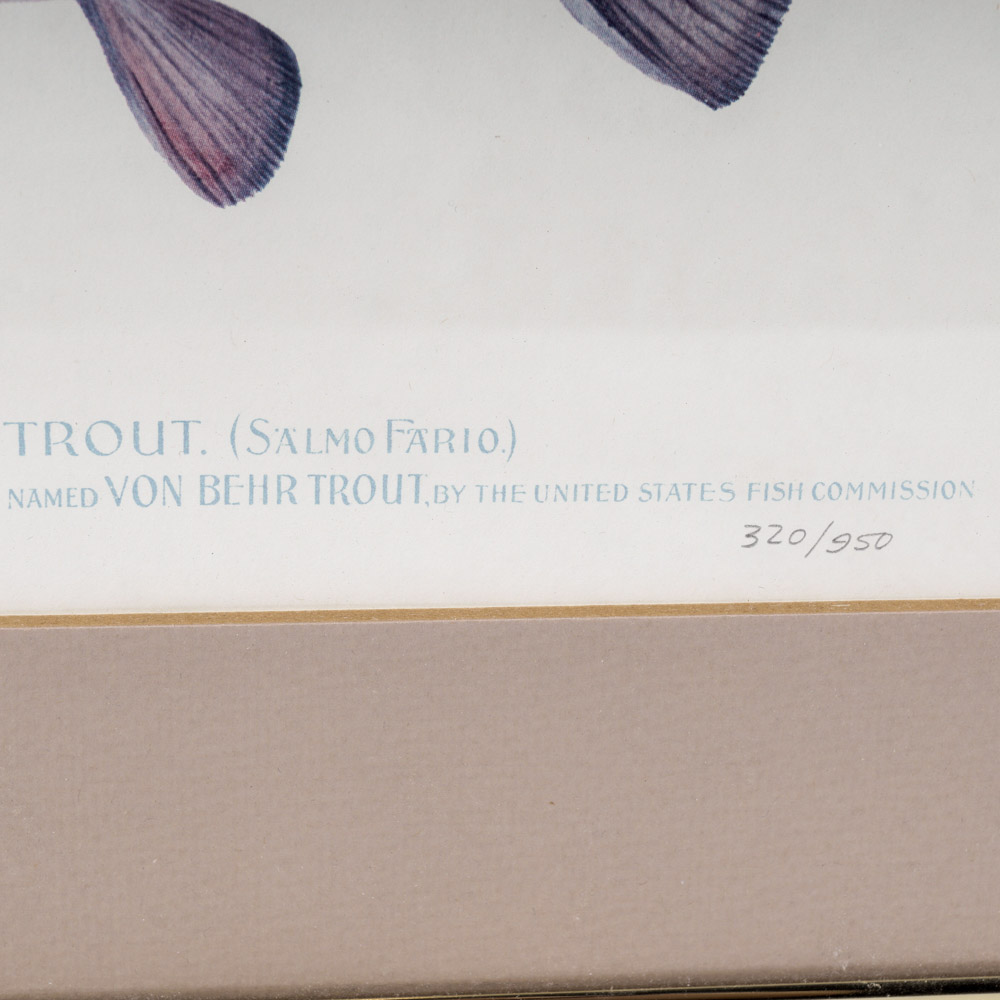 Sherman Denton Limited Edition Offset Lithographs of Trout