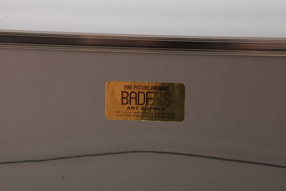 Color Photographs of Canyon Scenes