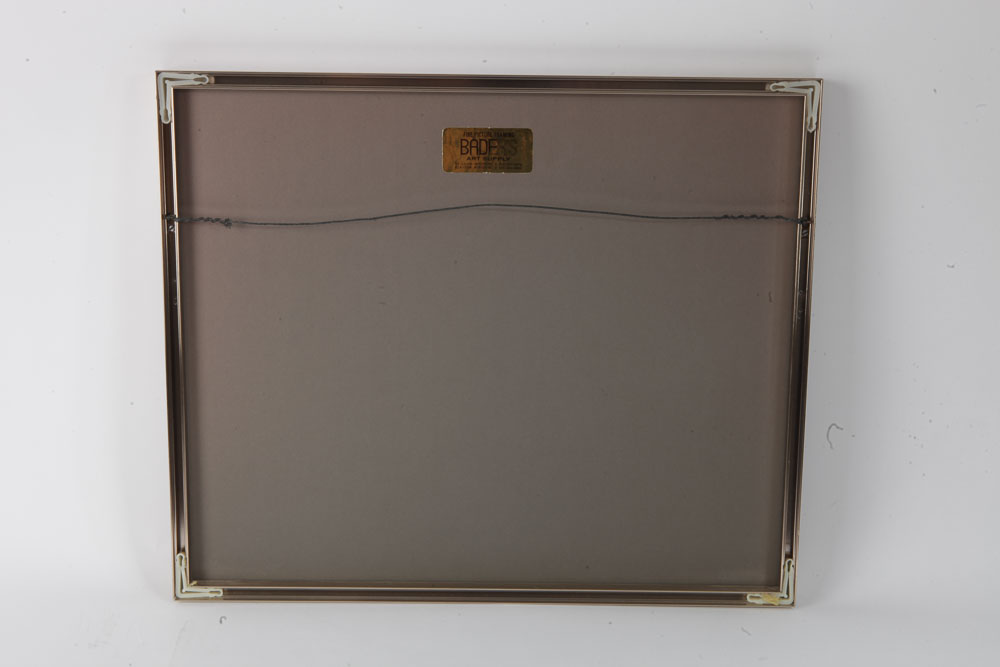 Color Photographs of Canyon Scenes