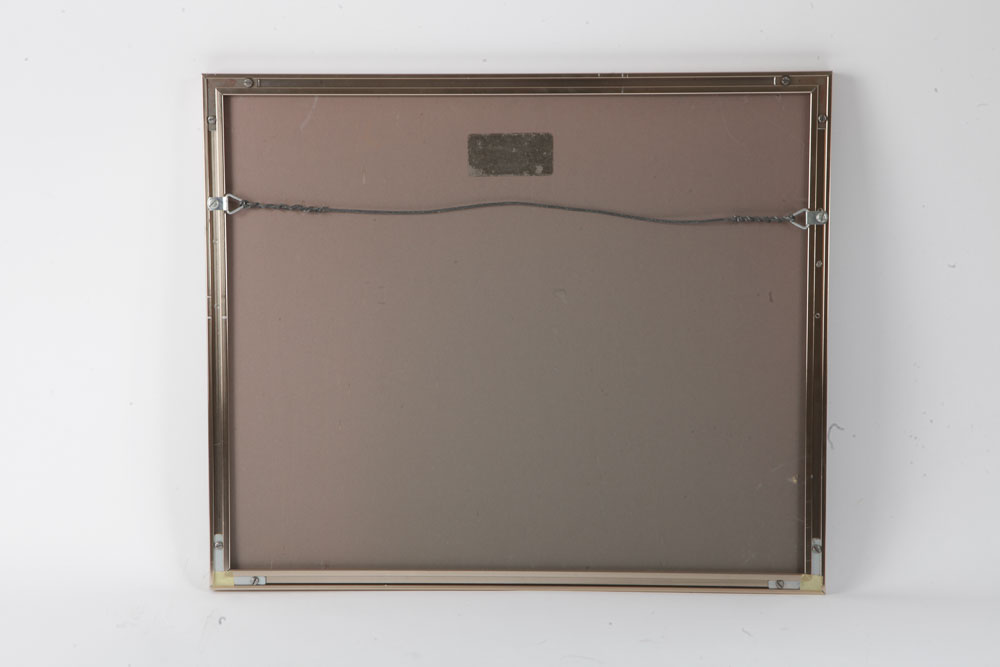 Color Photographs of Wildlife Scenes