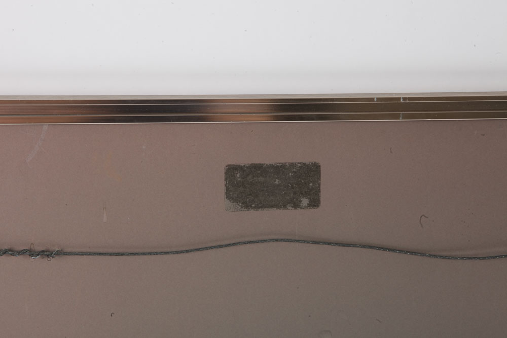 Color Photographs of Wildlife Scenes