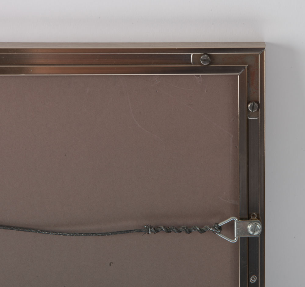 Color Photographs of Wildlife Scenes