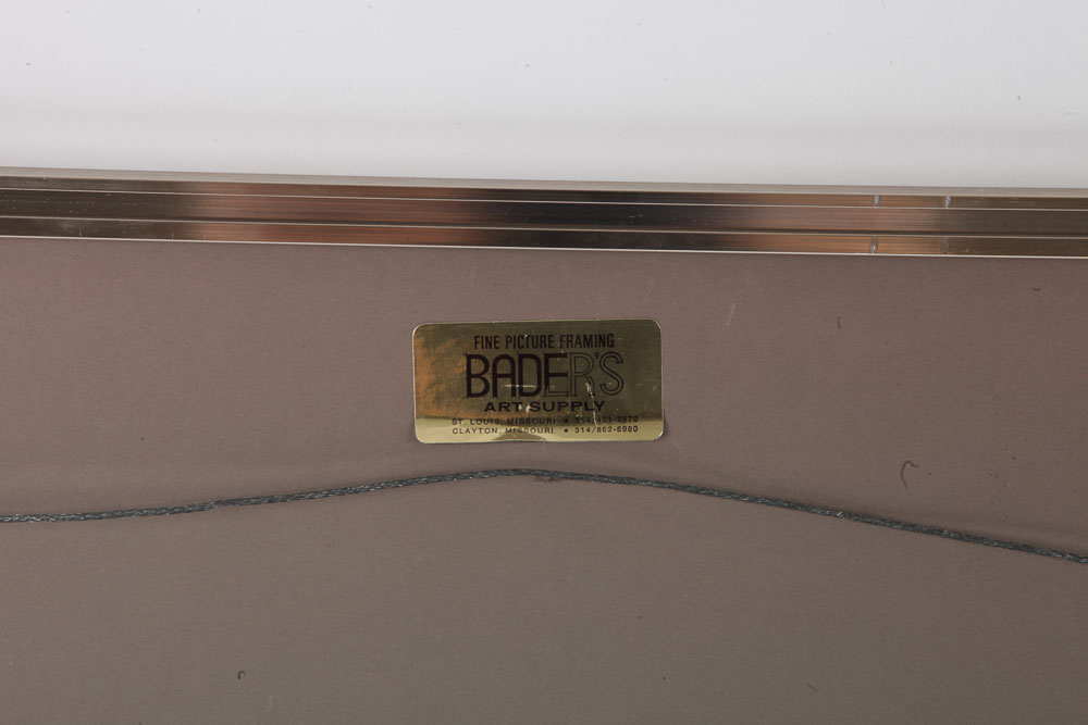 Color Photographs of Wildlife Scenes