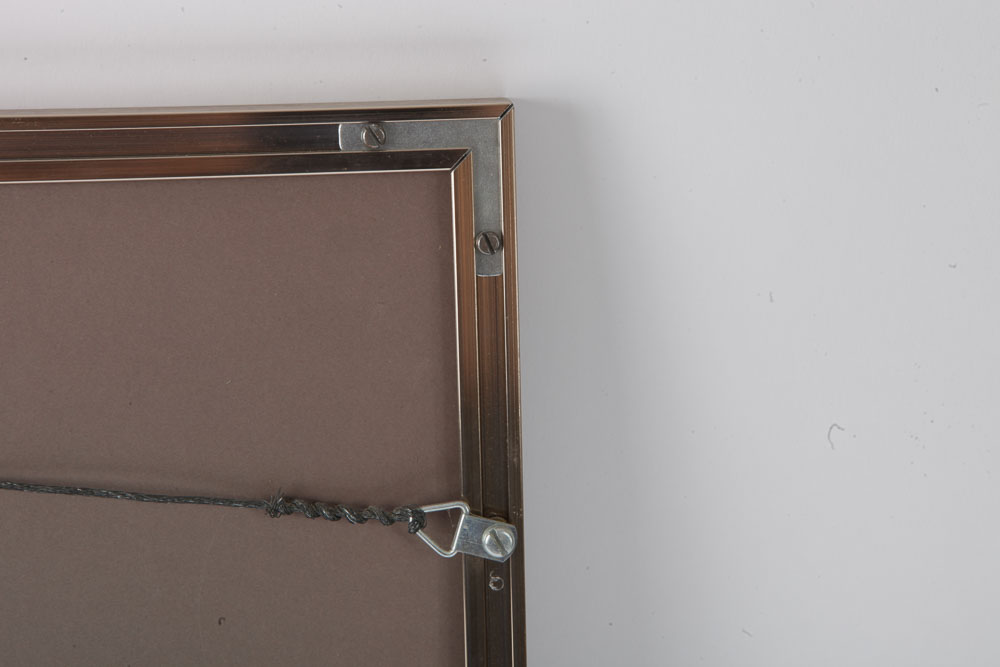 Color Photographs of Wildlife Scenes