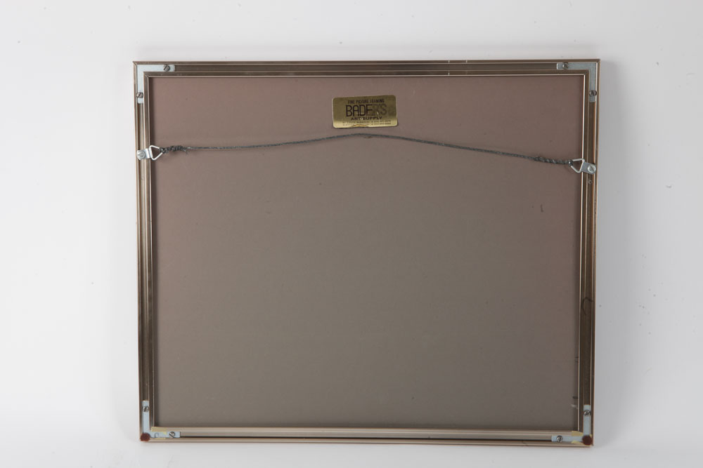 Color Photographs of Wildlife Scenes