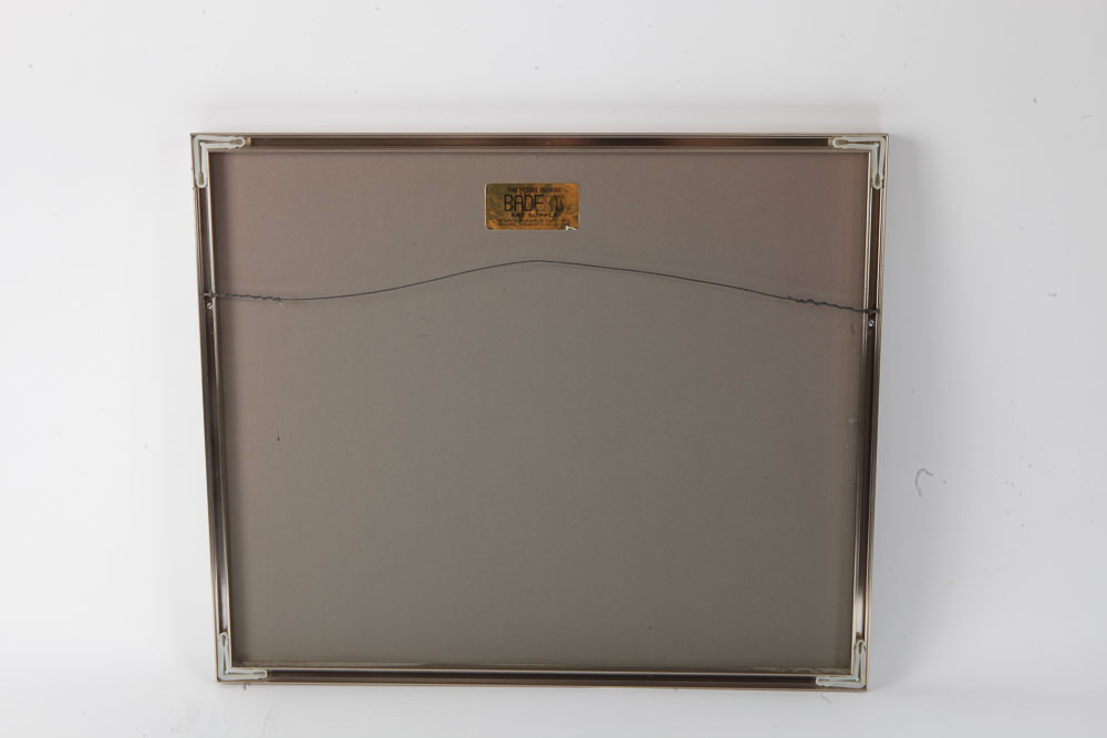 Color Photographs of Waterfront Landscapes