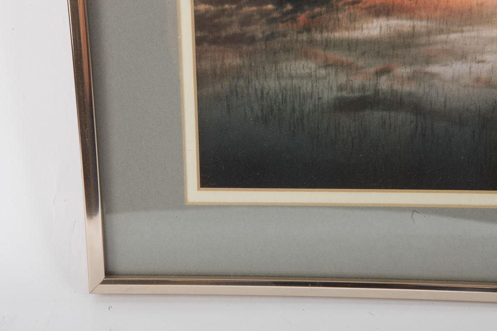 Color Photographs of Waterfront Landscapes